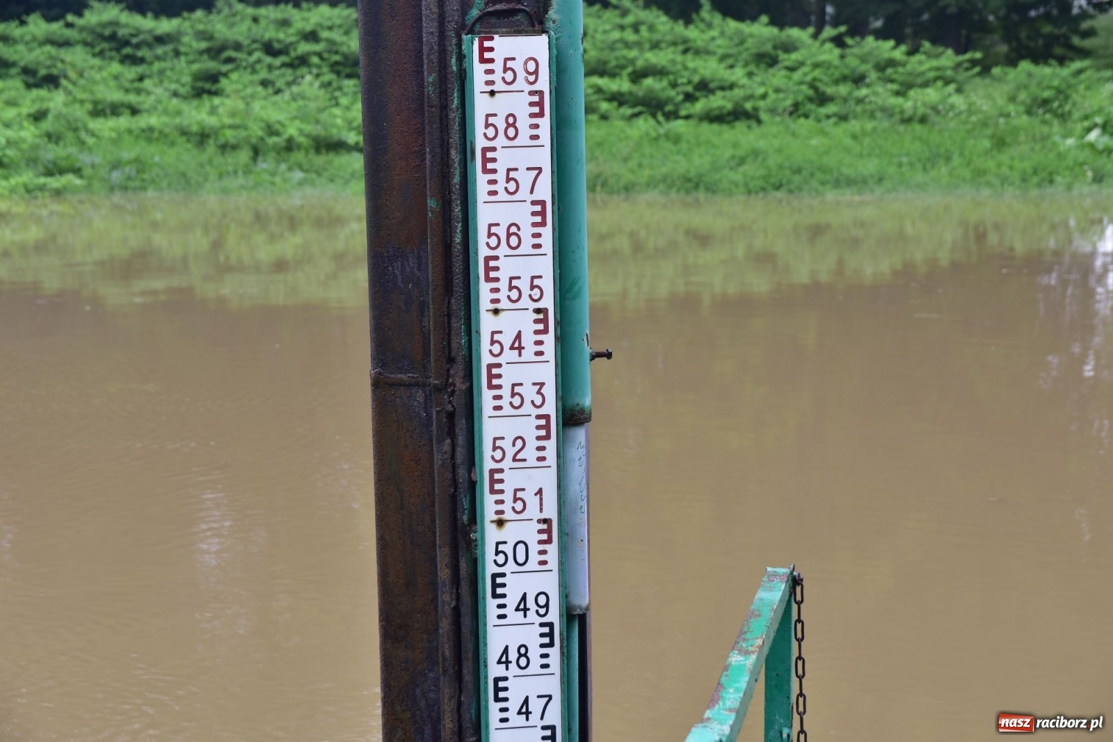 Zdjęcie w galerii na portalu naszraciborz.pl: Wojewoda zarządził pogotowie przeciwpowodziowe. Odra w Raciborzu w południe 21.06.2020 wiadomości z regionu