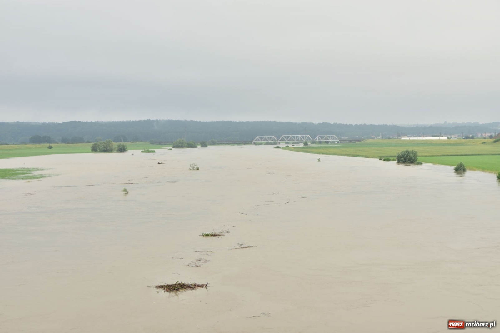 Zdjęcie w galerii na portalu naszraciborz.pl: Odra już stabilna. To był pomruk rzeki. Do wielkiej powodzi daleko [FOTO]  wiadomości z regionu