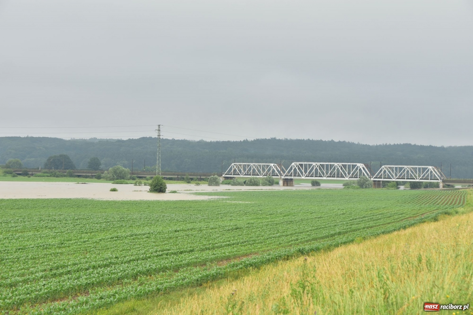 Zdjęcie w galerii na portalu naszraciborz.pl: Odra już stabilna. To był pomruk rzeki. Do wielkiej powodzi daleko [FOTO]  wiadomości z regionu