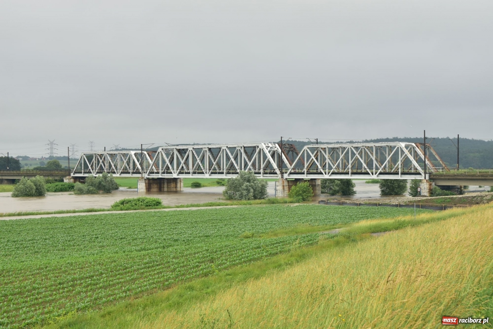 Zdjęcie w galerii na portalu naszraciborz.pl: Odra już stabilna. To był pomruk rzeki. Do wielkiej powodzi daleko [FOTO]  wiadomości z regionu