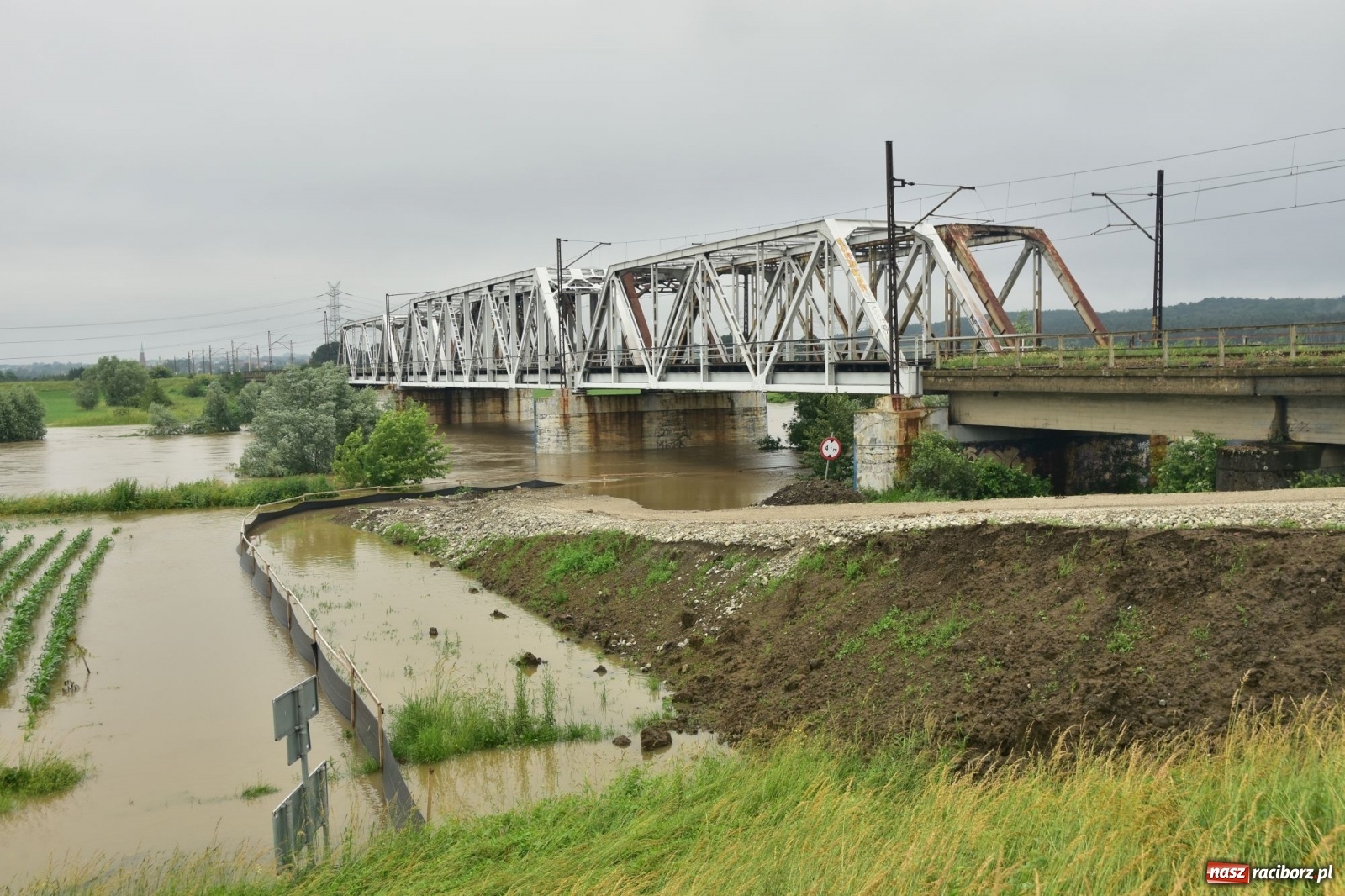 Zdjęcie w galerii na portalu naszraciborz.pl: Odra już stabilna. To był pomruk rzeki. Do wielkiej powodzi daleko [FOTO]  wiadomości z regionu