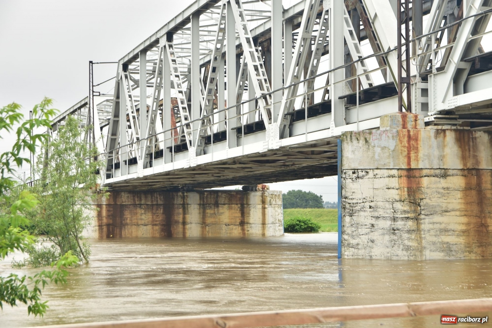 Zdjęcie w galerii na portalu naszraciborz.pl: Odra już stabilna. To był pomruk rzeki. Do wielkiej powodzi daleko [FOTO]  wiadomości z regionu