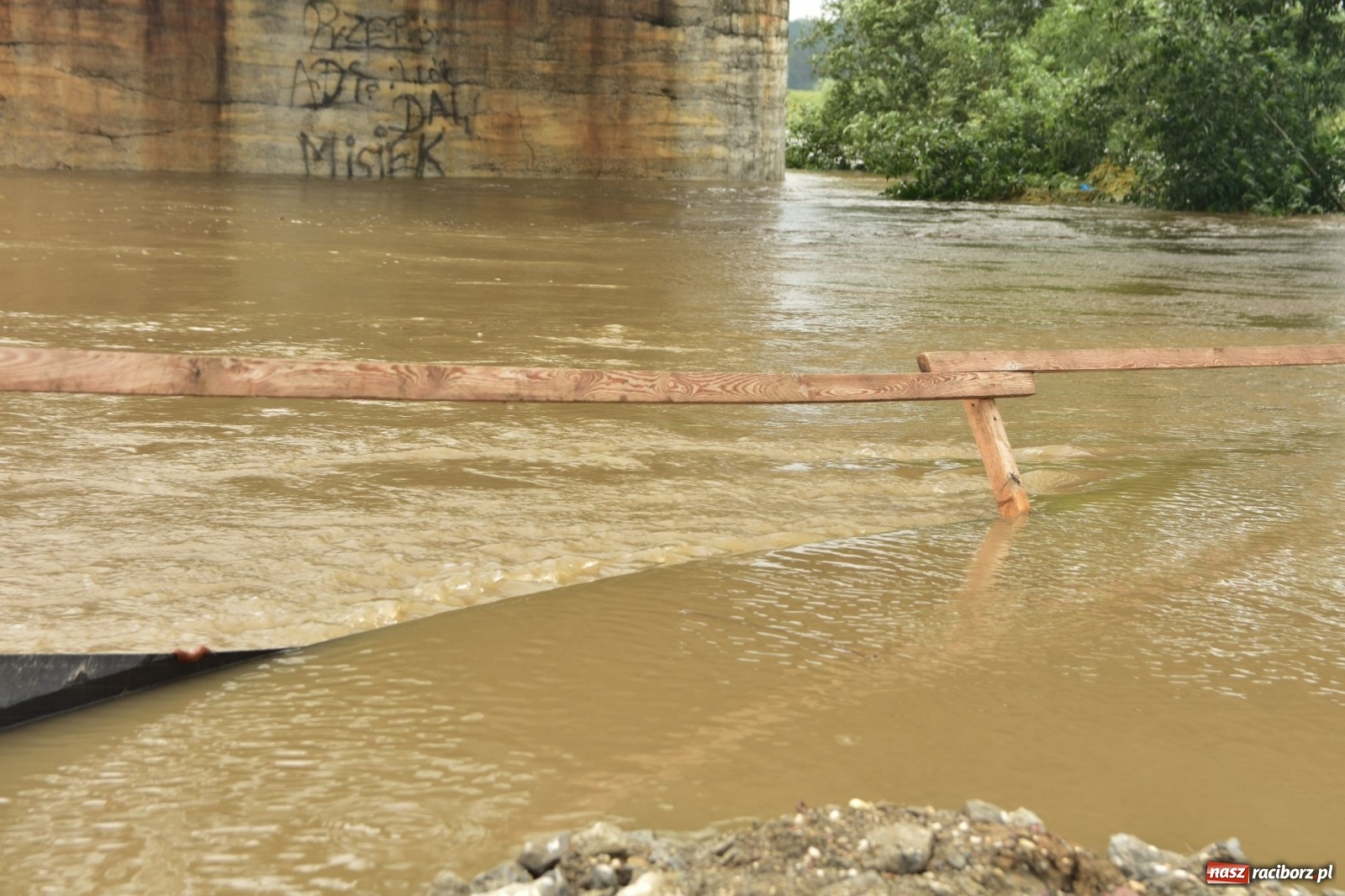 Zdjęcie w galerii na portalu naszraciborz.pl: Odra już stabilna. To był pomruk rzeki. Do wielkiej powodzi daleko [FOTO]  wiadomości z regionu