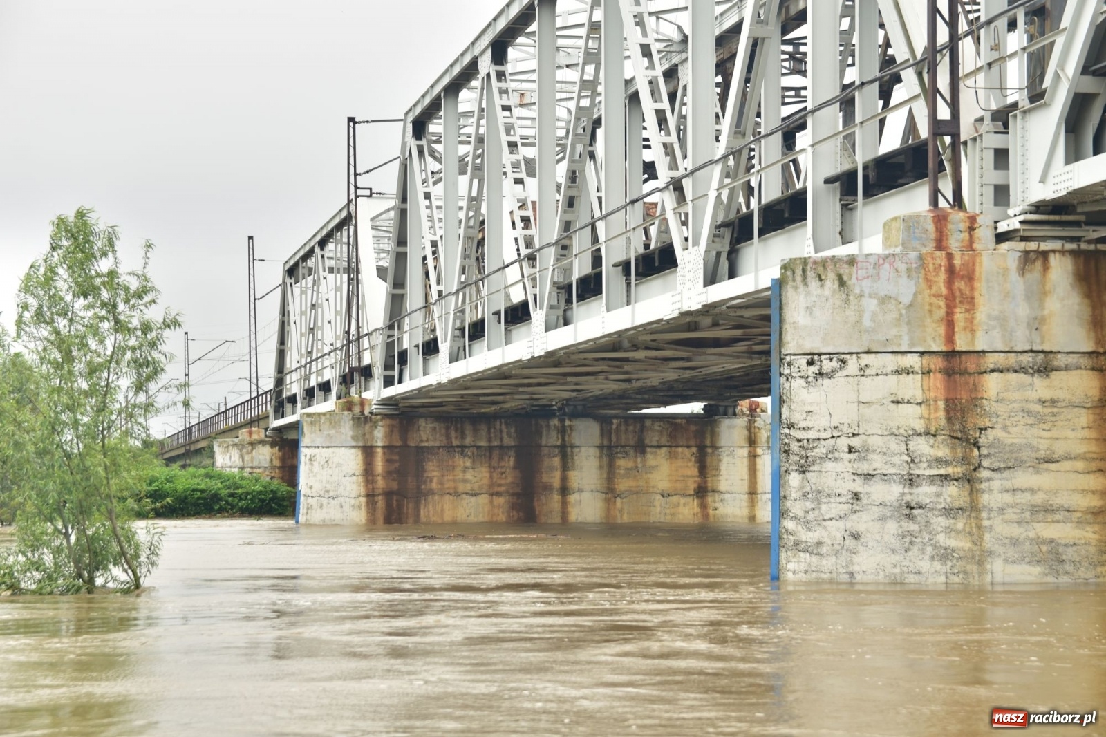 Zdjęcie w galerii na portalu naszraciborz.pl: Odra już stabilna. To był pomruk rzeki. Do wielkiej powodzi daleko [FOTO]  wiadomości z regionu