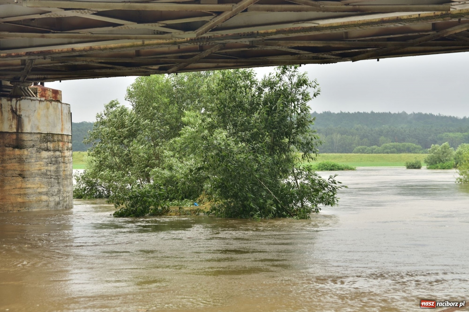 Zdjęcie w galerii na portalu naszraciborz.pl: Odra już stabilna. To był pomruk rzeki. Do wielkiej powodzi daleko [FOTO]  wiadomości z regionu