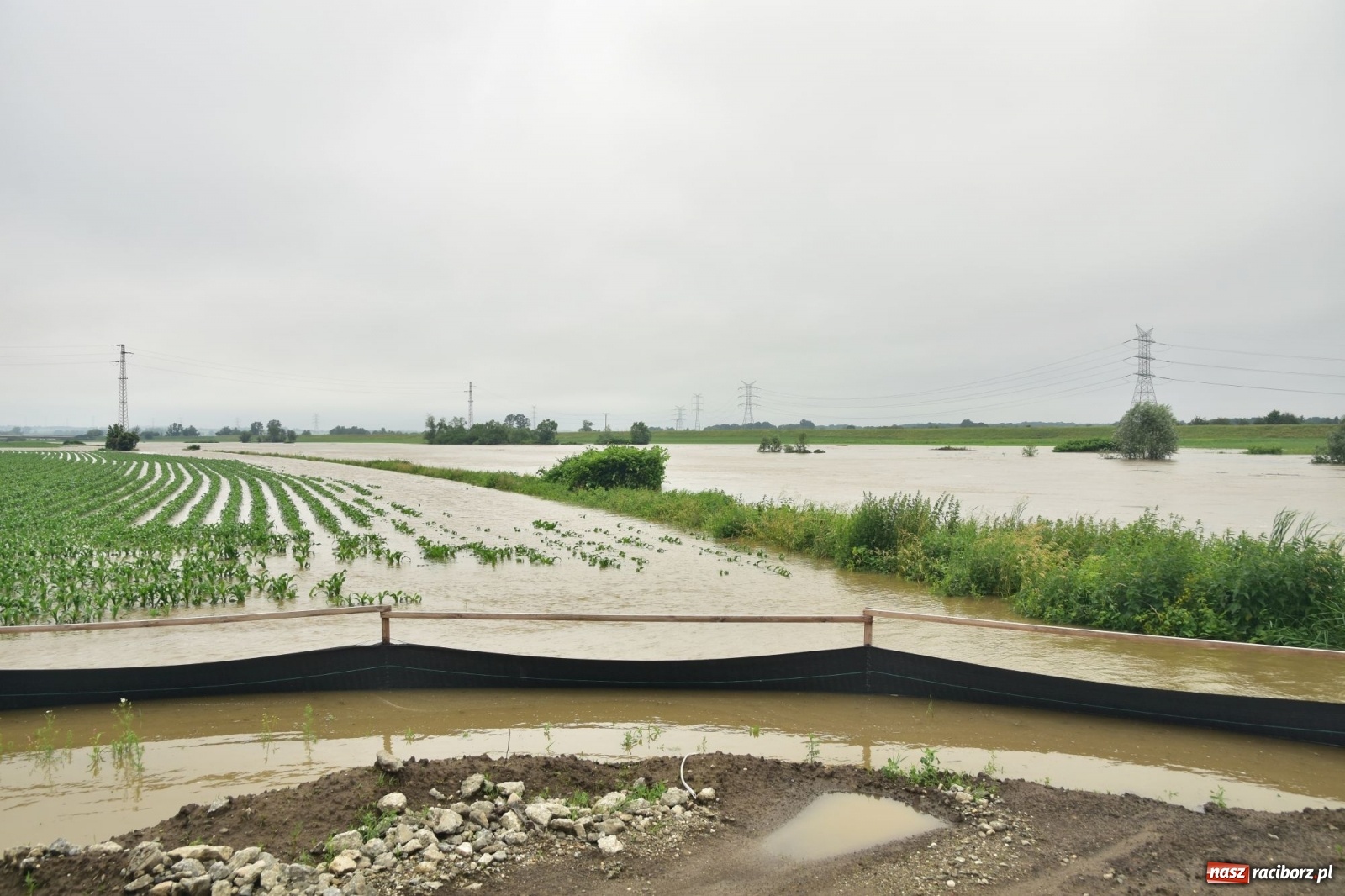 Zdjęcie w galerii na portalu naszraciborz.pl: Odra już stabilna. To był pomruk rzeki. Do wielkiej powodzi daleko [FOTO]  wiadomości z regionu
