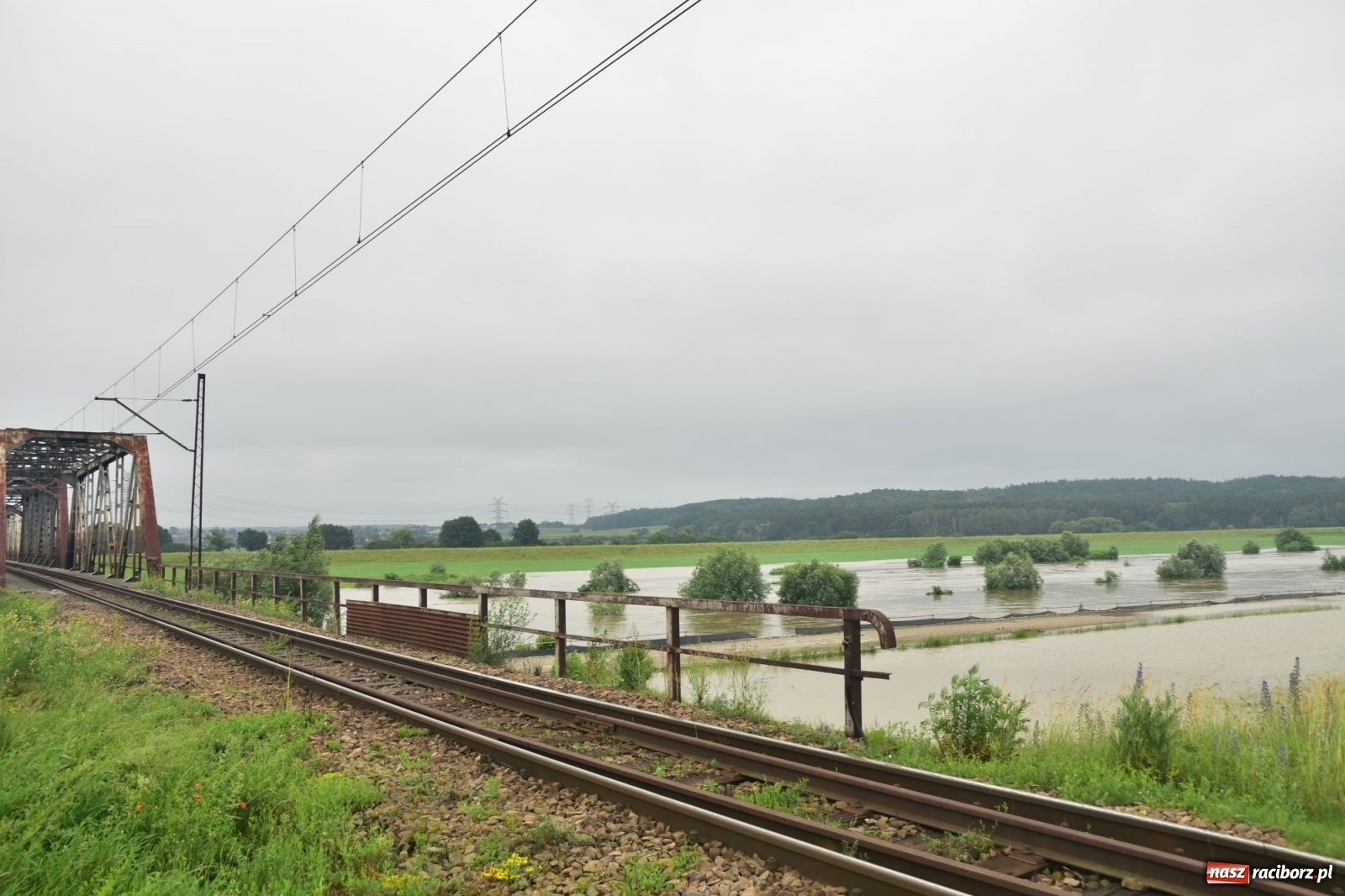 Zdjęcie w galerii na portalu naszraciborz.pl: Odra już stabilna. To był pomruk rzeki. Do wielkiej powodzi daleko [FOTO]  wiadomości z regionu
