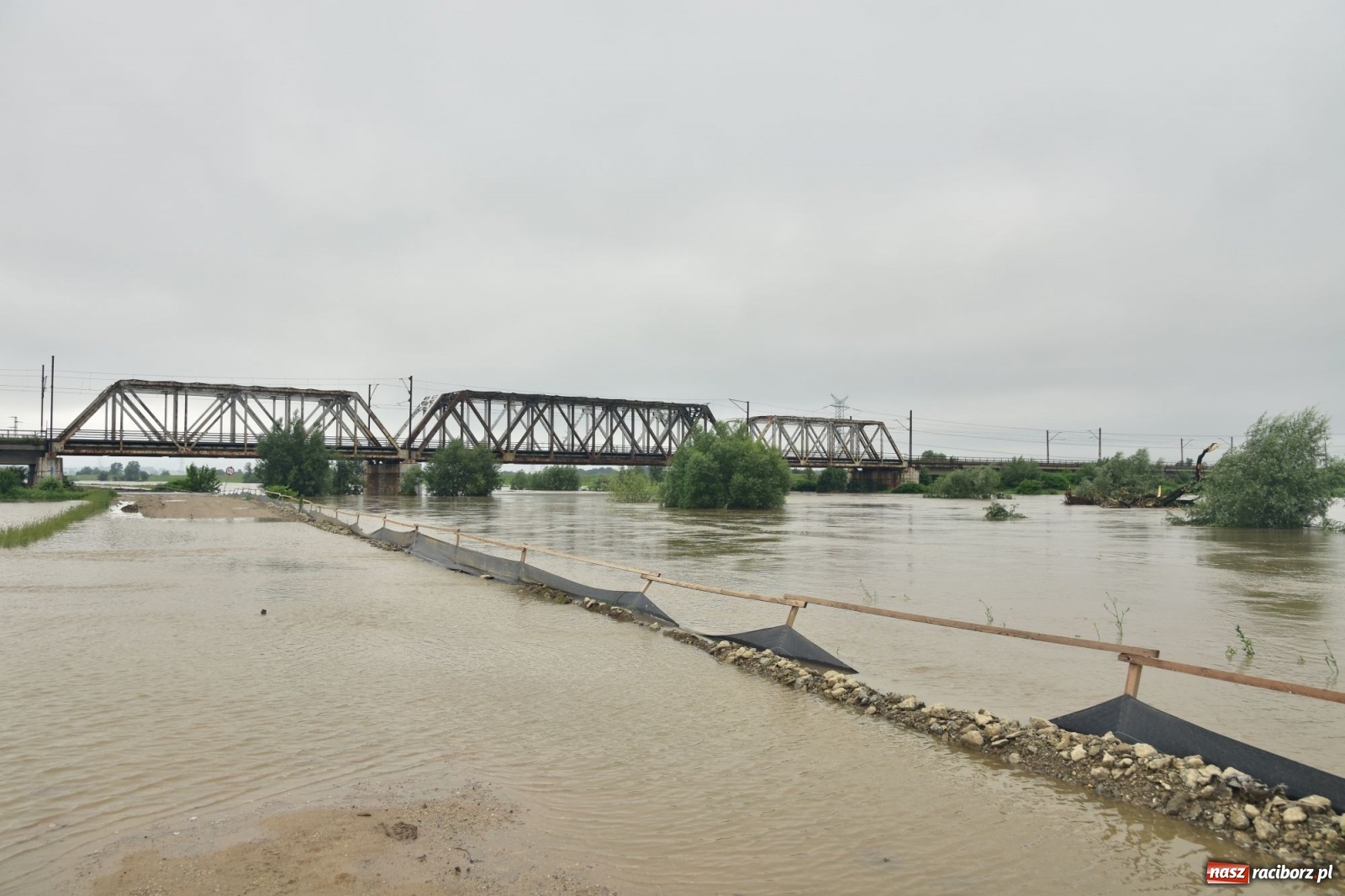 Zdjęcie w galerii na portalu naszraciborz.pl: Odra już stabilna. To był pomruk rzeki. Do wielkiej powodzi daleko [FOTO]  wiadomości z regionu