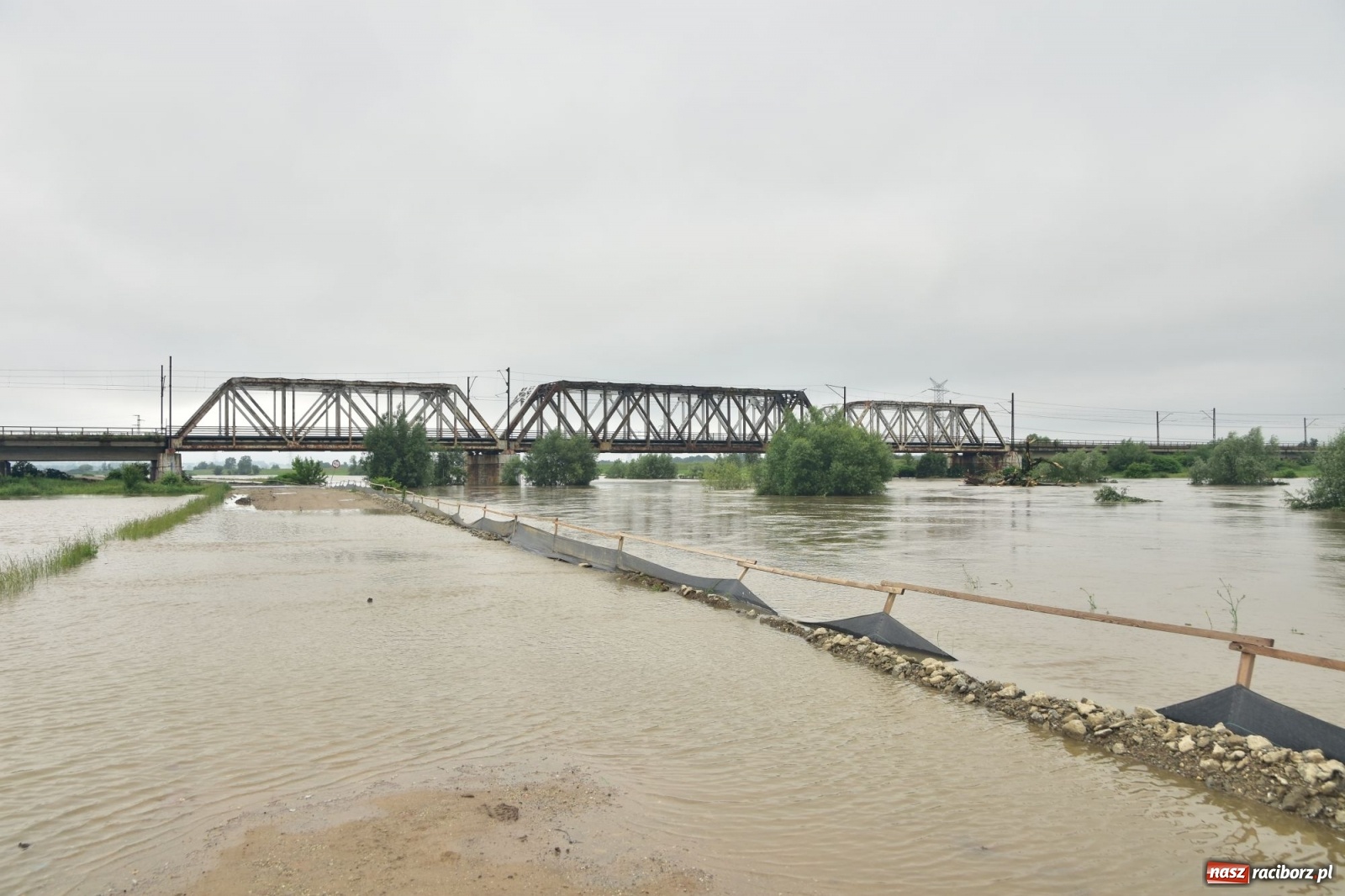 Zdjęcie w galerii na portalu naszraciborz.pl: Odra już stabilna. To był pomruk rzeki. Do wielkiej powodzi daleko [FOTO]  wiadomości z regionu