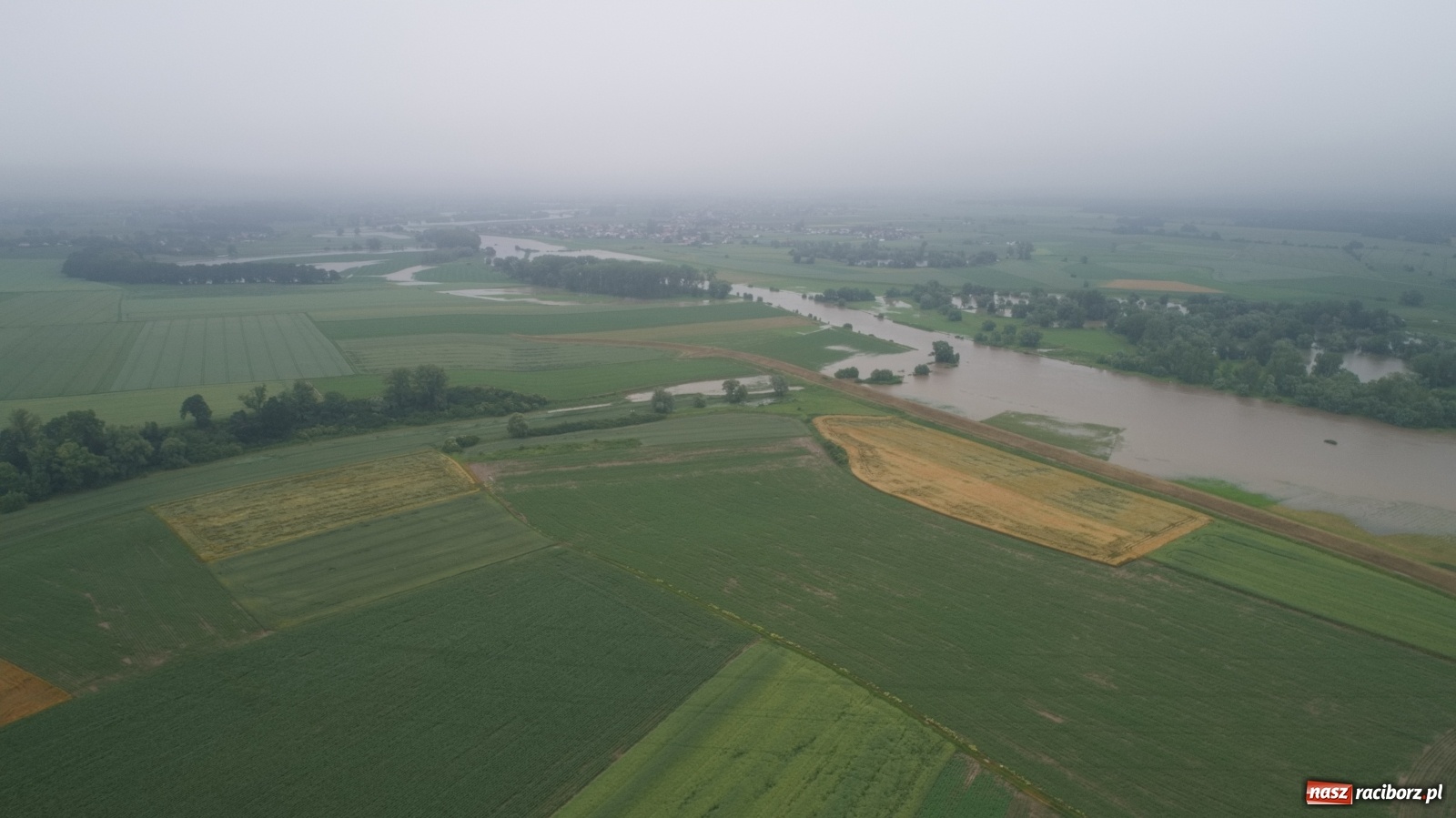 Zdjęcie w galerii na portalu naszraciborz.pl: Raport z budowy wschodniej obwodnicy Raciborza [WIDEO, 21.06.2020]  wiadomości z regionu