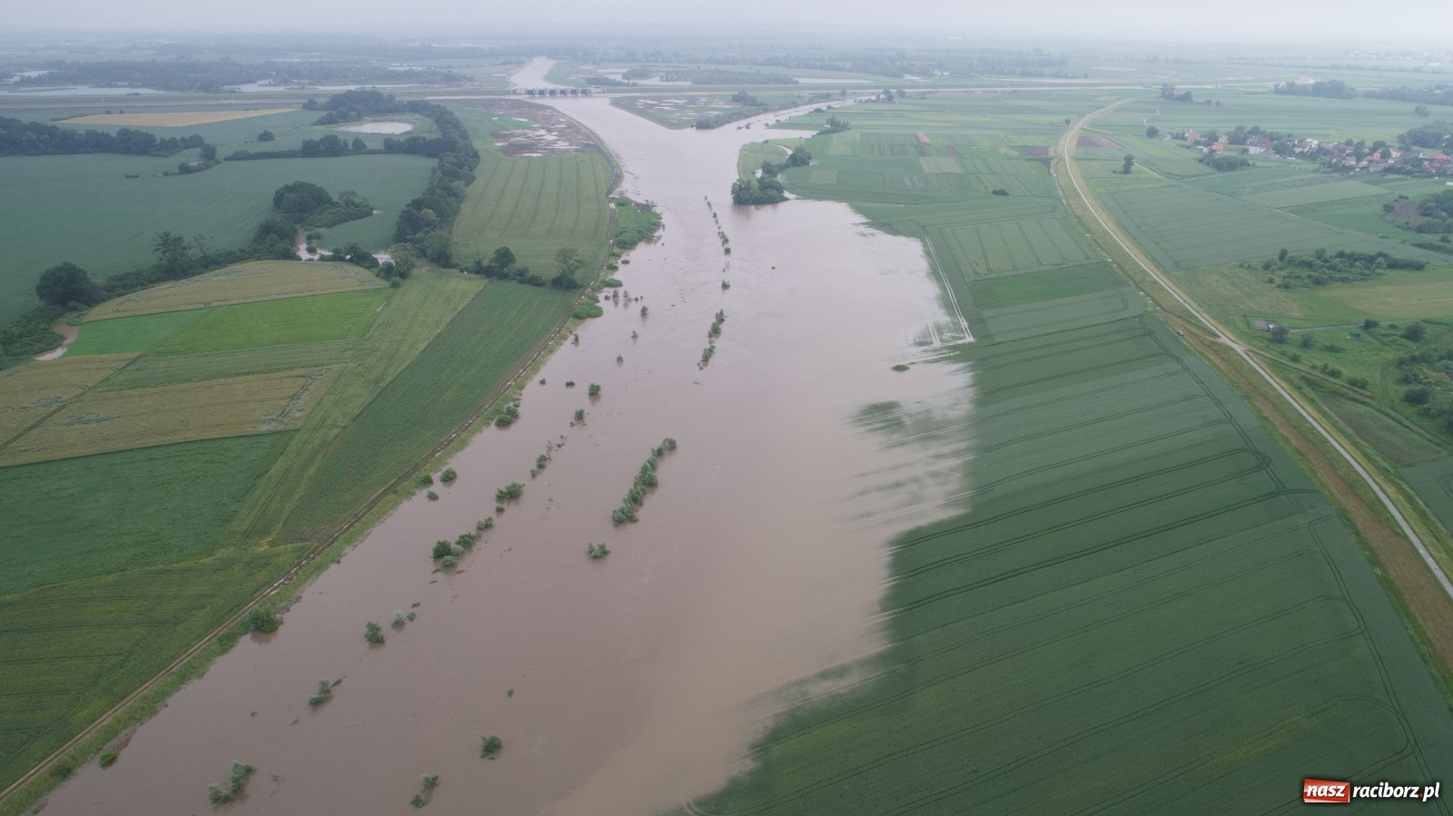 Zdjęcie w galerii na portalu naszraciborz.pl: Raport z budowy wschodniej obwodnicy Raciborza [WIDEO, 21.06.2020]  wiadomości z regionu