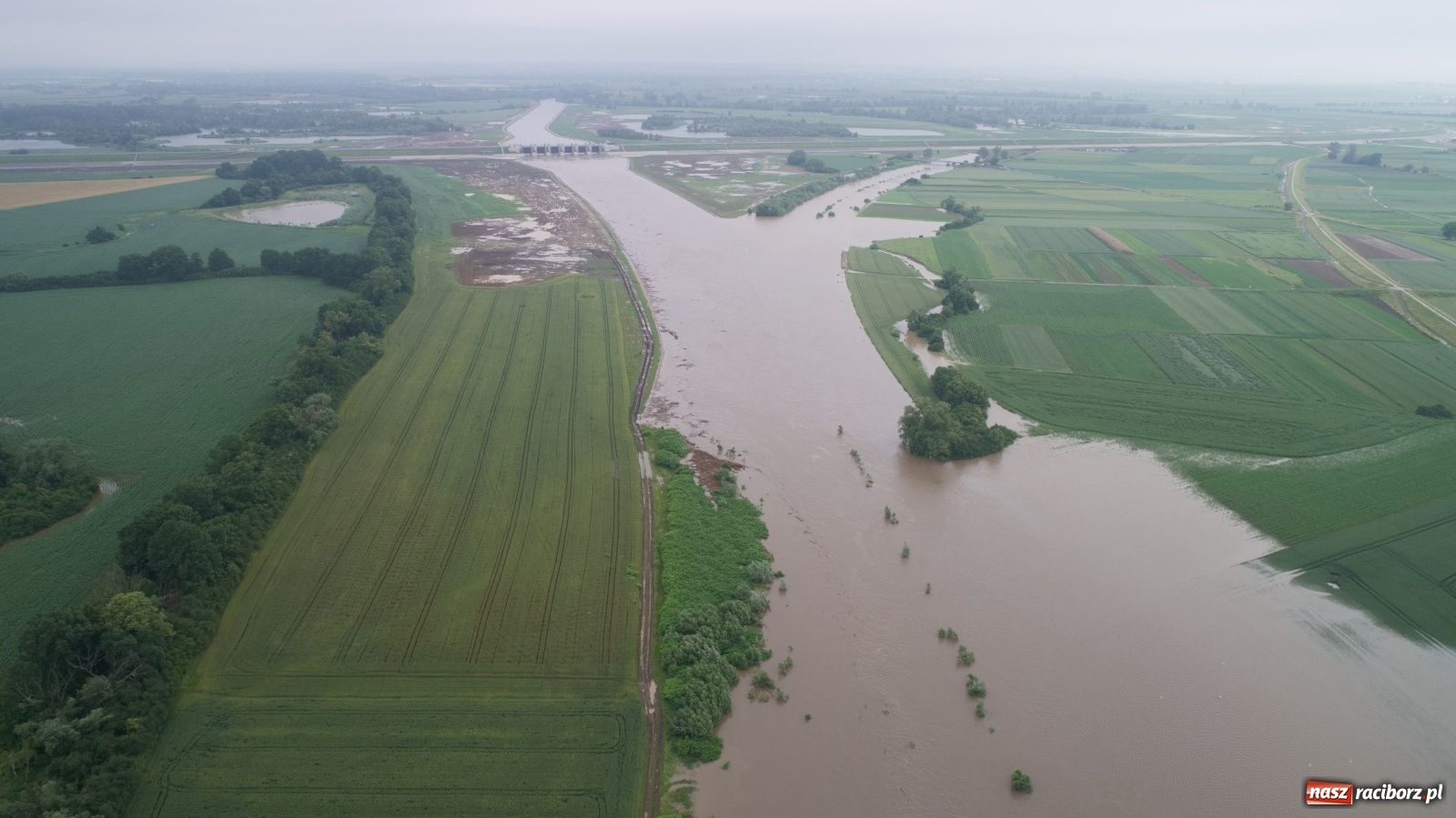 Zdjęcie w galerii na portalu naszraciborz.pl: Raport z budowy wschodniej obwodnicy Raciborza [WIDEO, 21.06.2020]  wiadomości z regionu