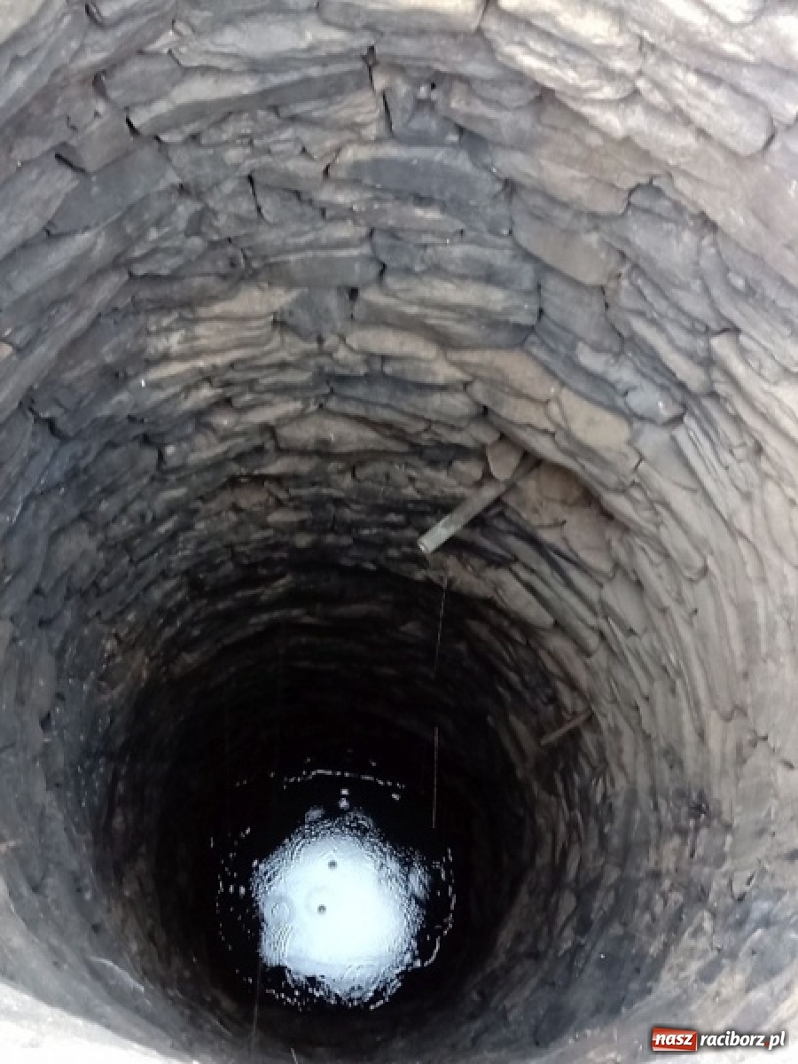 Zdjęcie w galerii na portalu naszraciborz.pl: Ciekawe odkrycie na krzanowickim rynku wiadomości z regionu