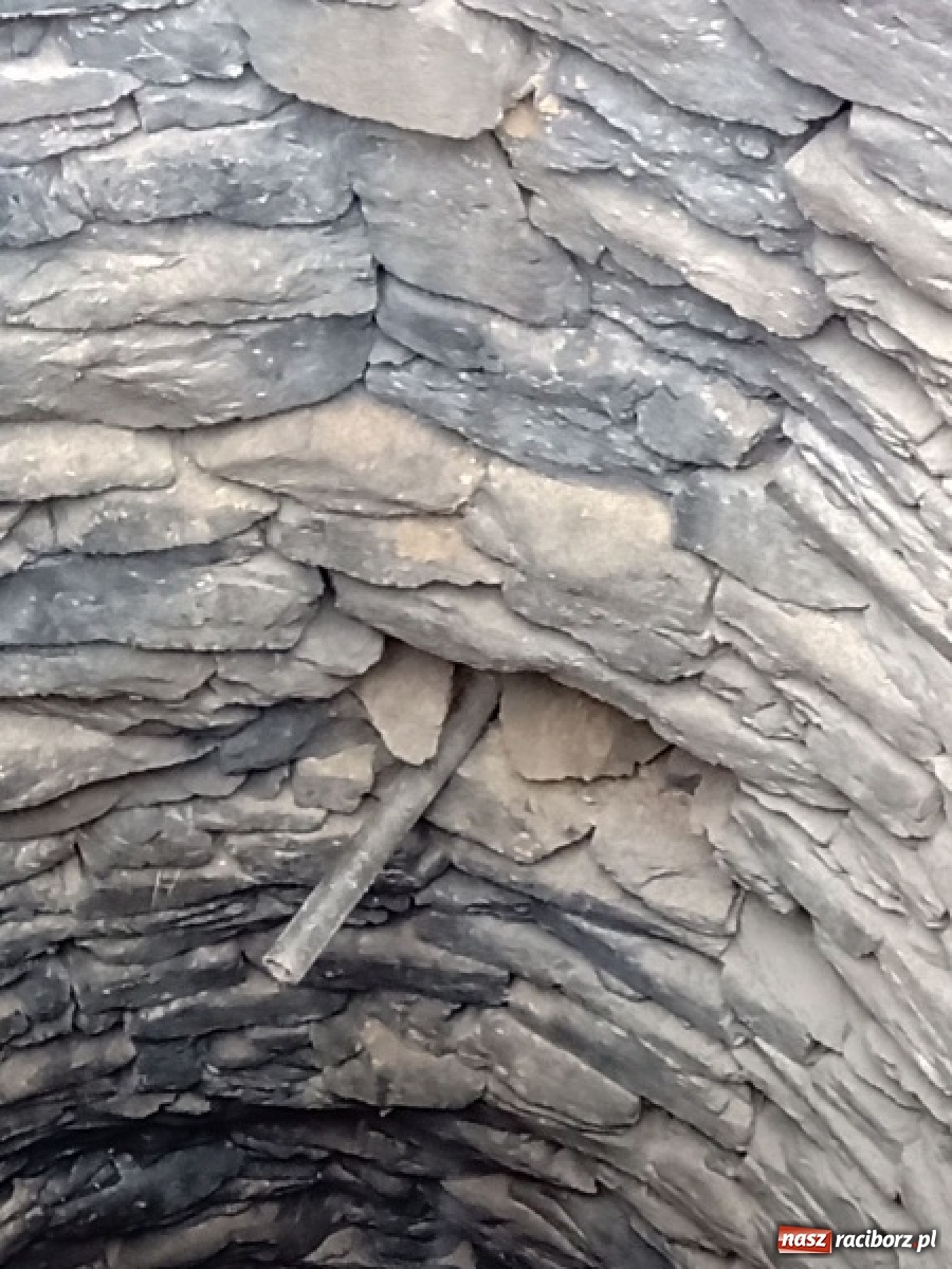 Zdjęcie w galerii na portalu naszraciborz.pl: Ciekawe odkrycie na krzanowickim rynku wiadomości z regionu