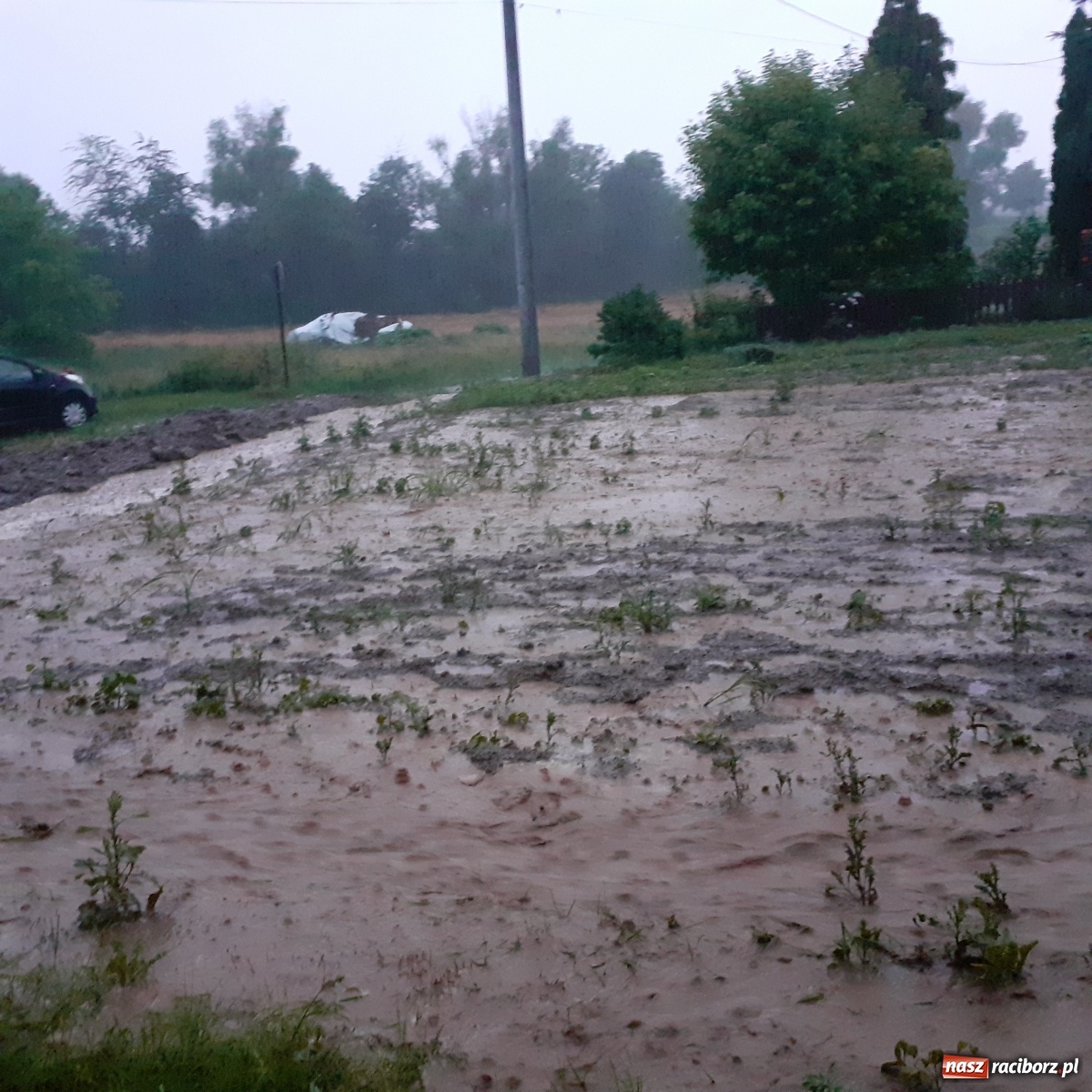 Zdjęcie w galerii na portalu naszraciborz.pl: Burza zalała Racibórz. Ulice zamieniały się w rzeki [FOTO i WIDEO] wiadomości z regionu
