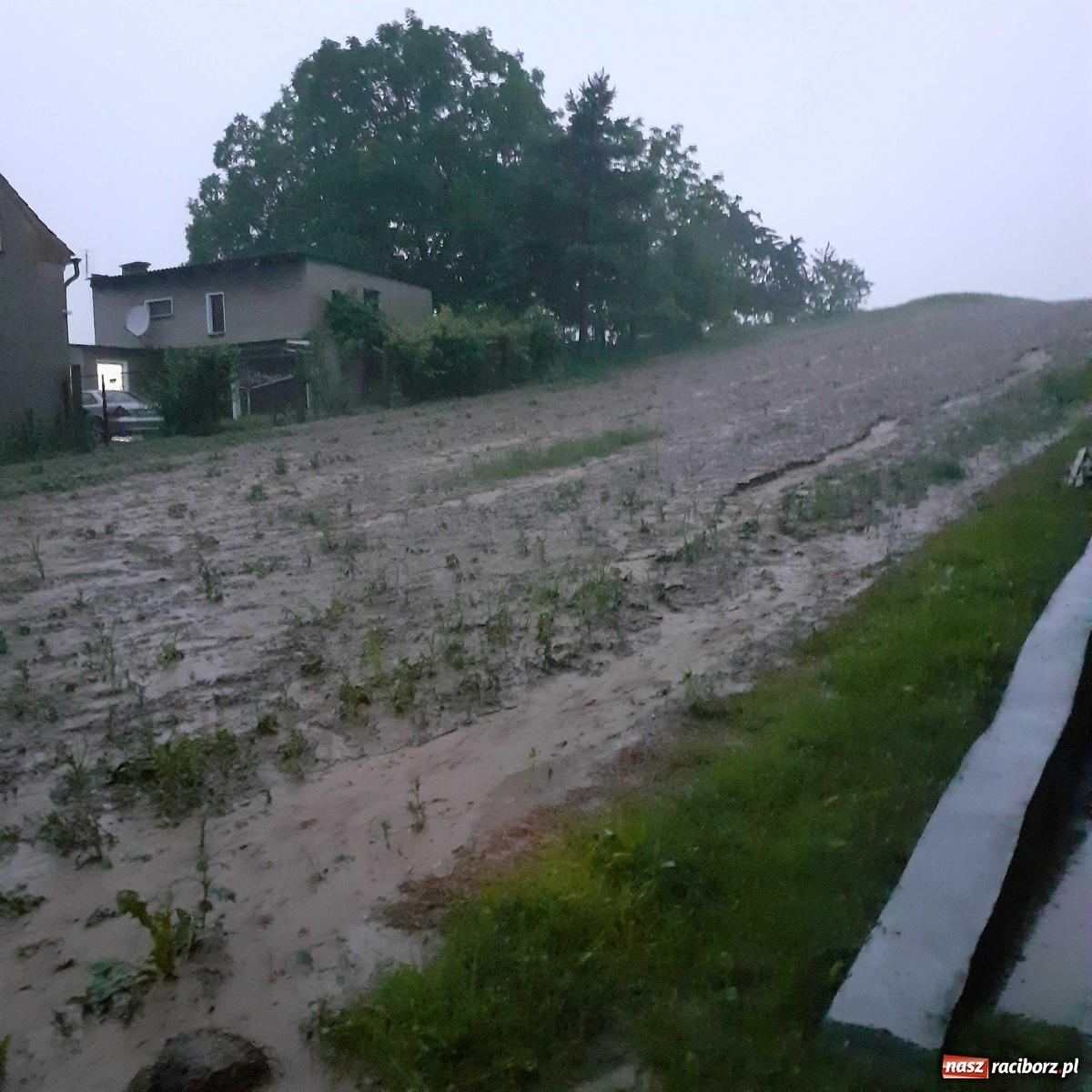 Zdjęcie w galerii na portalu naszraciborz.pl: Burza zalała Racibórz. Ulice zamieniały się w rzeki [FOTO i WIDEO] wiadomości z regionu