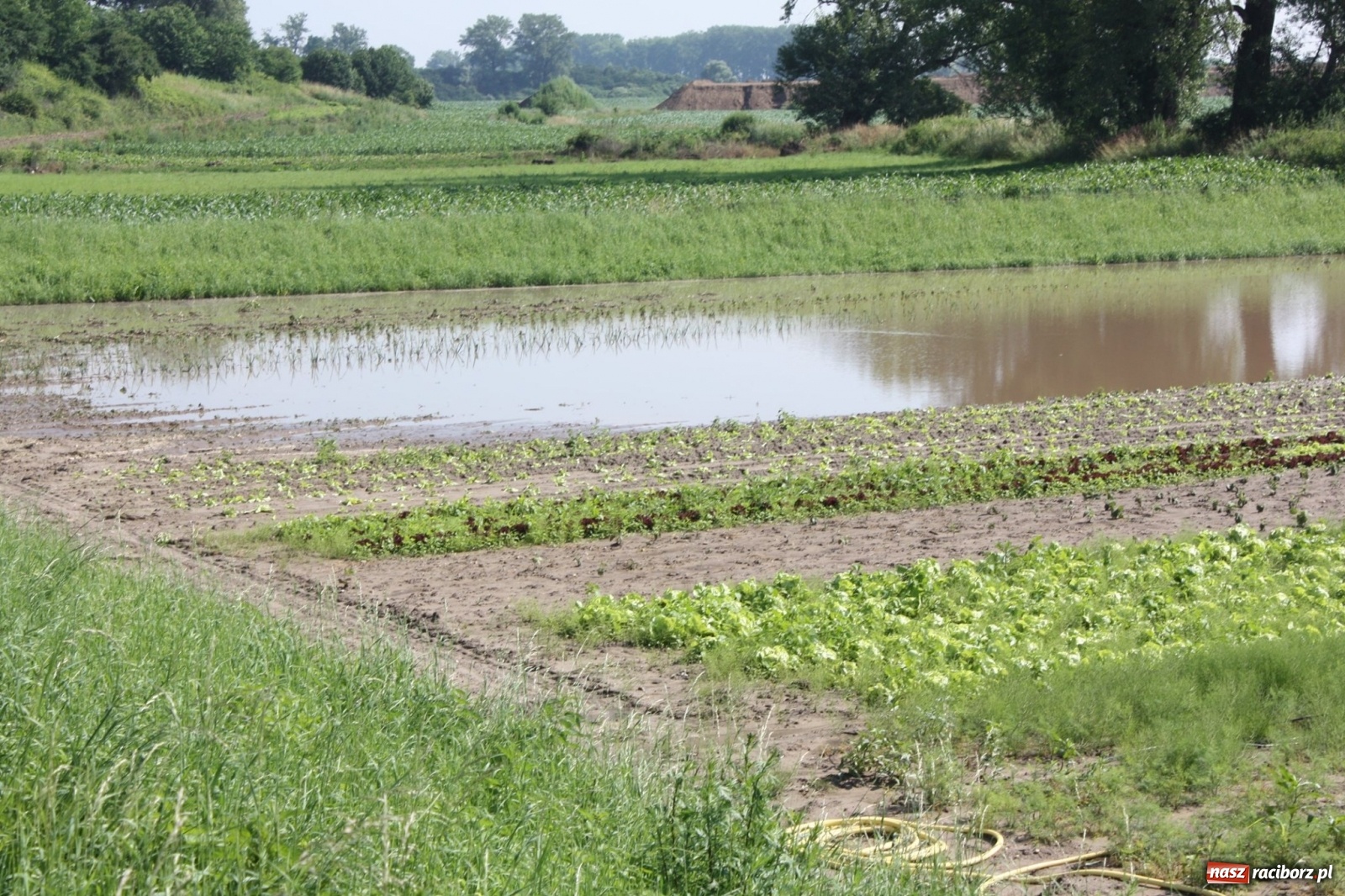 Zdjęcie w galerii na portalu naszraciborz.pl: Władze Raciborza przystąpiły do szacowania strat. Informacja o możliwej pomocy dla poszkodowanych [FOTO] wiadomości z regionu