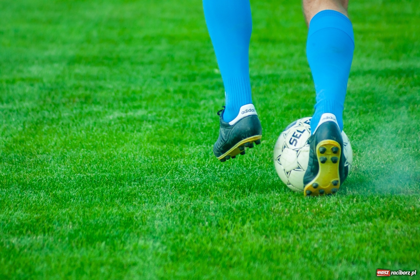 Zdjęcie w galerii na portalu naszraciborz.pl: Sparing. Trzy trafienia Gawlika, to na beniaminka z Krzanowic styka [FOTO i WIDEO] wiadomości z regionu