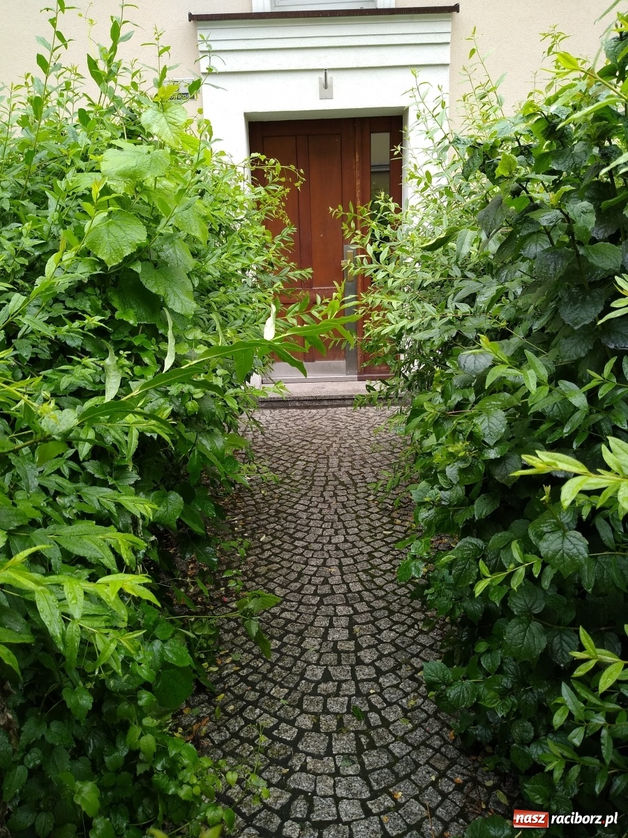 Zdjęcie w galerii na portalu naszraciborz.pl: Busz przy Browarnej zgłoszony do MZB wiadomości z regionu