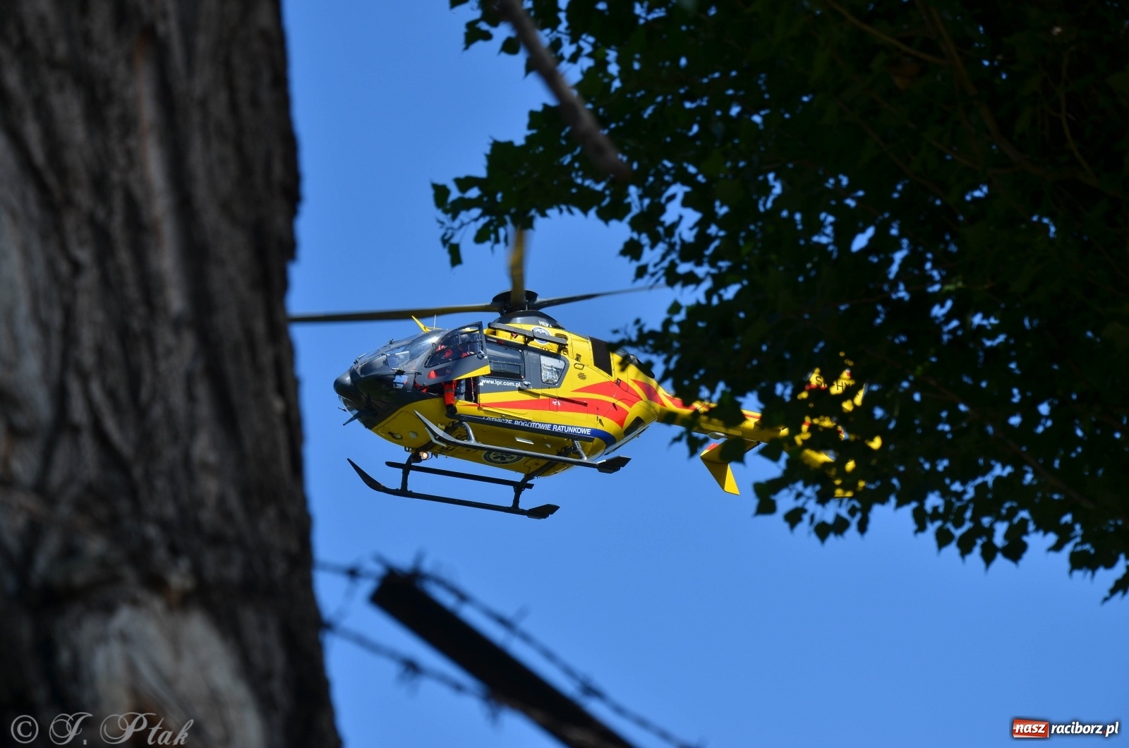 Zdjęcie w galerii na portalu naszraciborz.pl: Poparzenie w Raciborzu. W akcji śmigłowiec LPR [FOTO] wiadomości z regionu