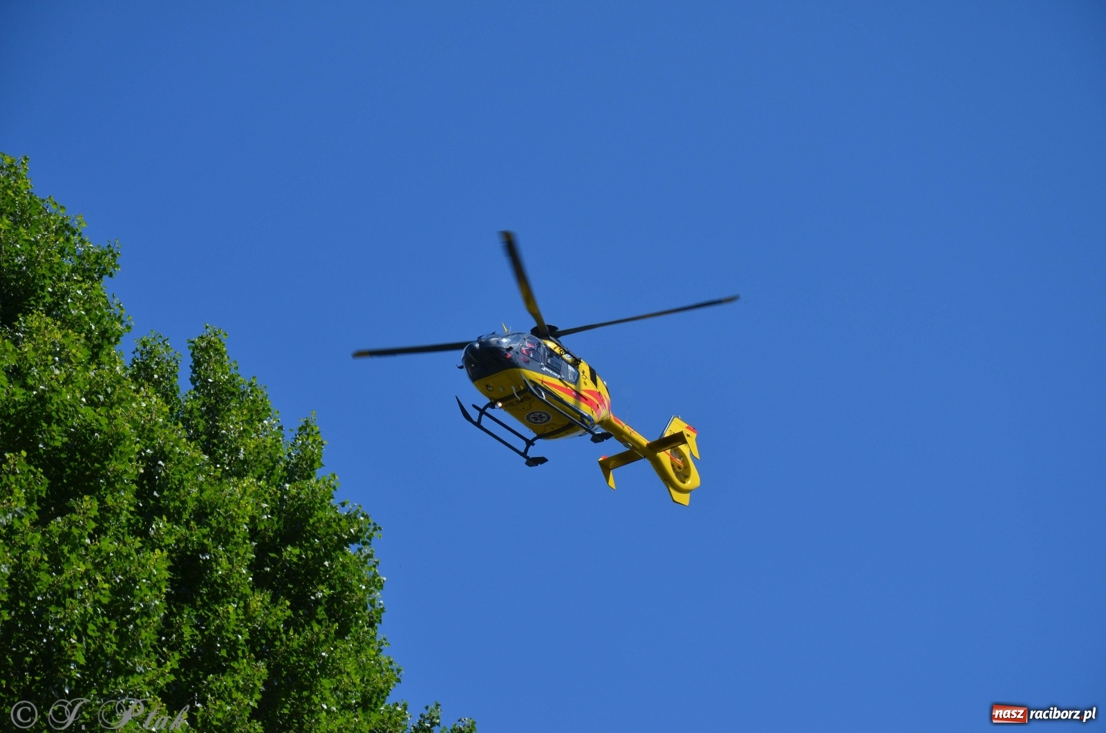 Zdjęcie w galerii na portalu naszraciborz.pl: Poparzenie w Raciborzu. W akcji śmigłowiec LPR [FOTO] wiadomości z regionu