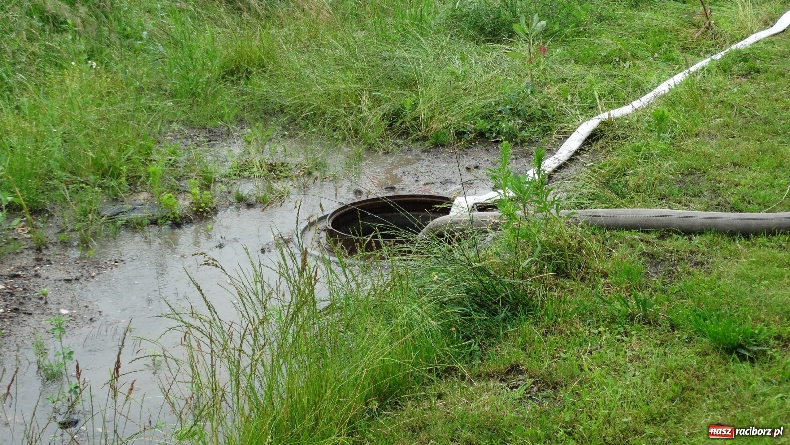 Zdjęcie w galerii na portalu naszraciborz.pl: Raport 998. Kolejny dzień strażackiej walki ze skutkami opadów wiadomości z regionu