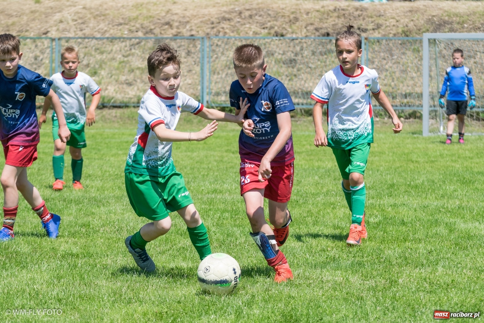 Zdjęcie w galerii na portalu naszraciborz.pl: Śląsko Liga Majstrów w Górkach Śląskich [FOTO] wiadomości z regionu