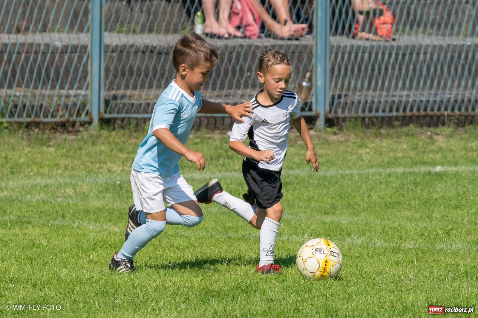 Zdjęcie w galerii na portalu naszraciborz.pl: Śląsko Liga Majstrów w Górkach Śląskich [FOTO] wiadomości z regionu