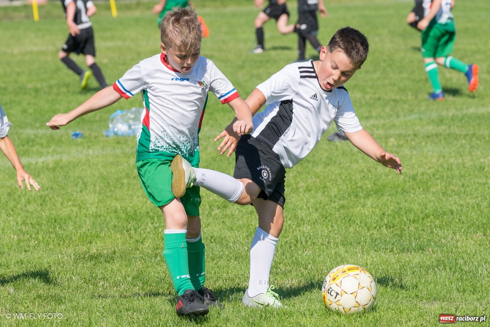 Zdjęcie w galerii na portalu naszraciborz.pl: Śląsko Liga Majstrów w Górkach Śląskich [FOTO] wiadomości z regionu