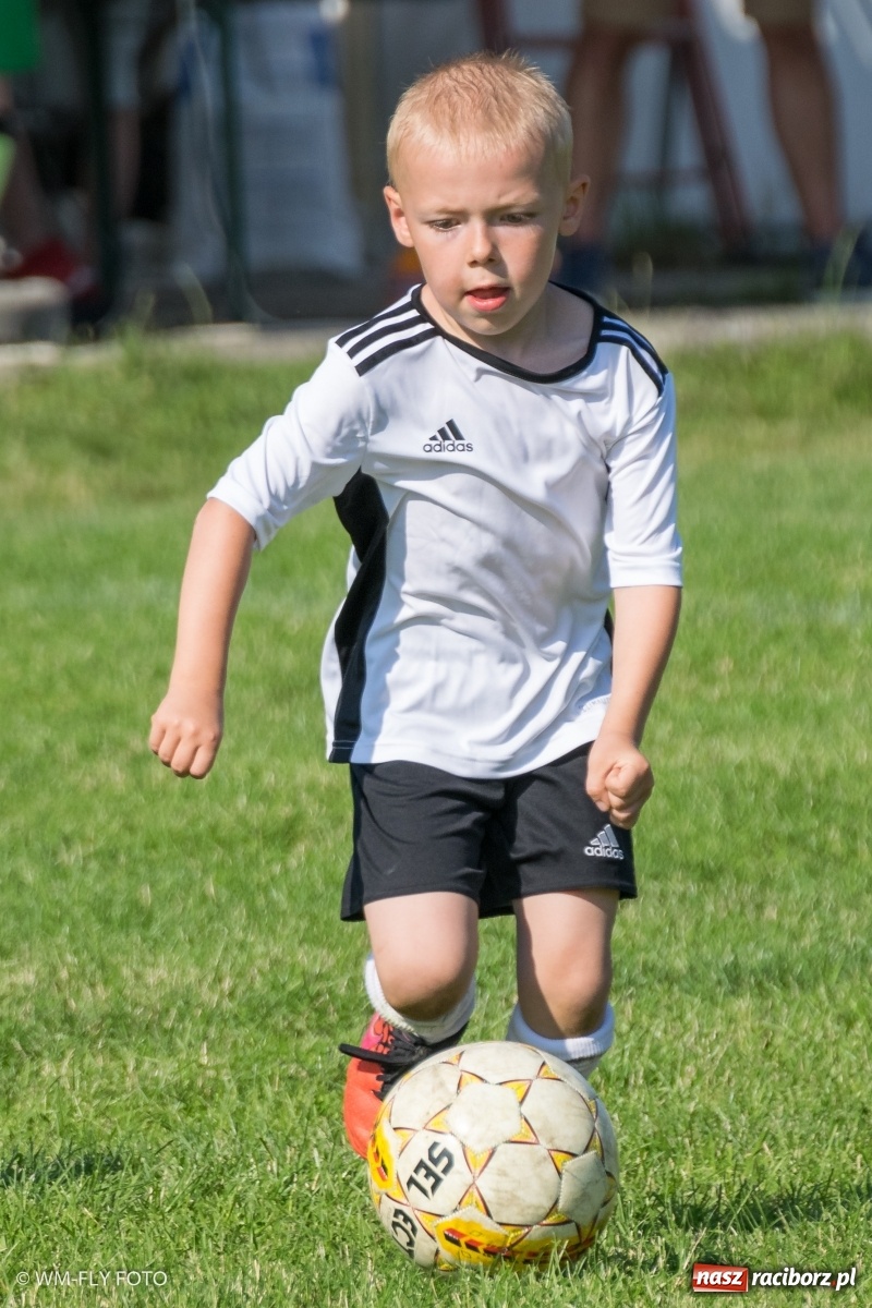 Zdjęcie w galerii na portalu naszraciborz.pl: Śląsko Liga Majstrów w Górkach Śląskich [FOTO] wiadomości z regionu