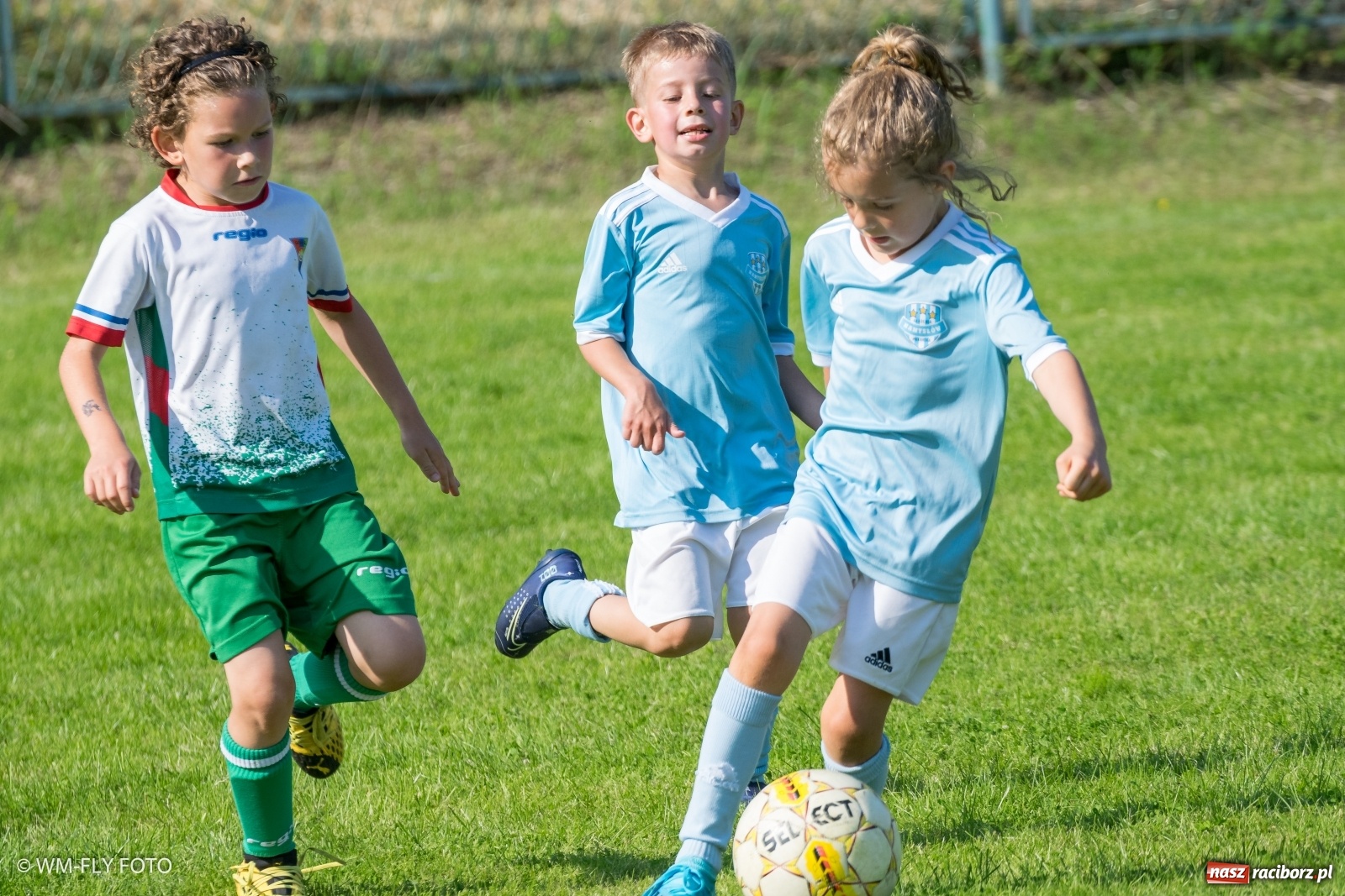 Zdjęcie w galerii na portalu naszraciborz.pl: Śląsko Liga Majstrów w Górkach Śląskich [FOTO] wiadomości z regionu