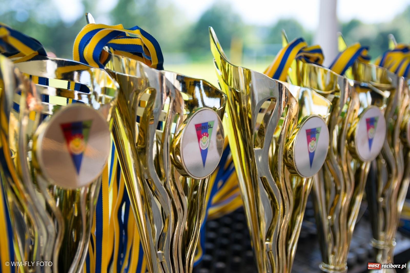 Zdjęcie w galerii na portalu naszraciborz.pl: Śląsko Liga Majstrów w Górkach Śląskich [FOTO] wiadomości z regionu