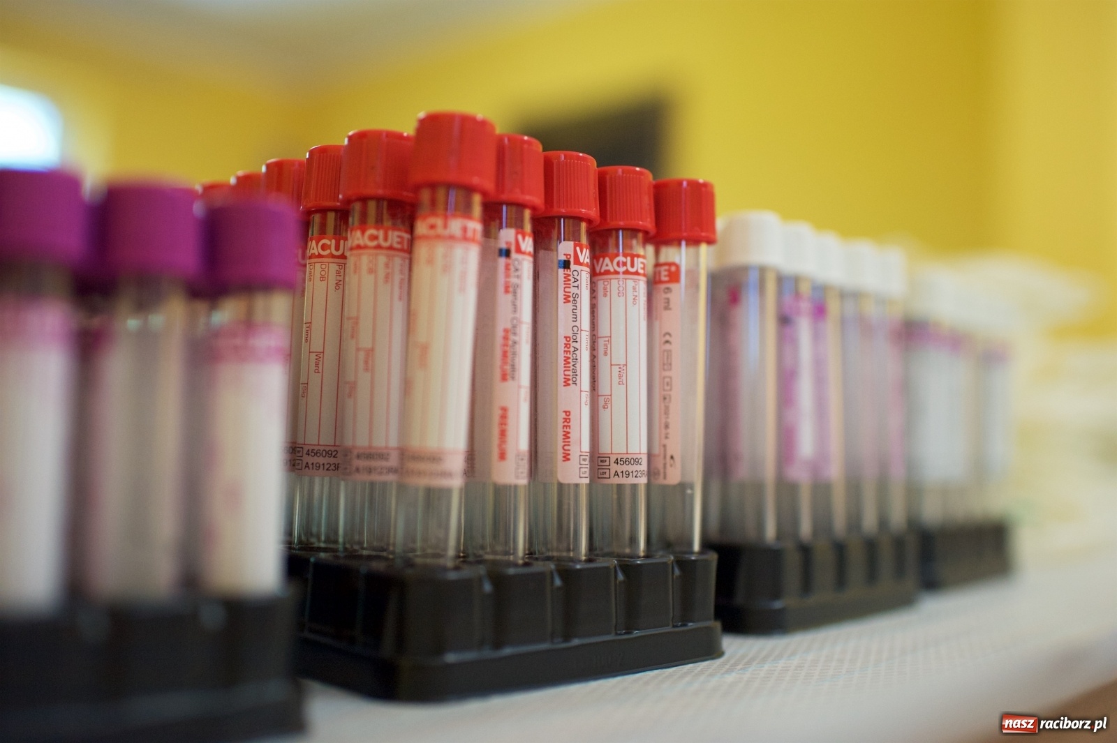 Zdjęcie w galerii na portalu naszraciborz.pl: Kolejna czerwona niedziela w Tworkowie [FOTO] wiadomości z regionu