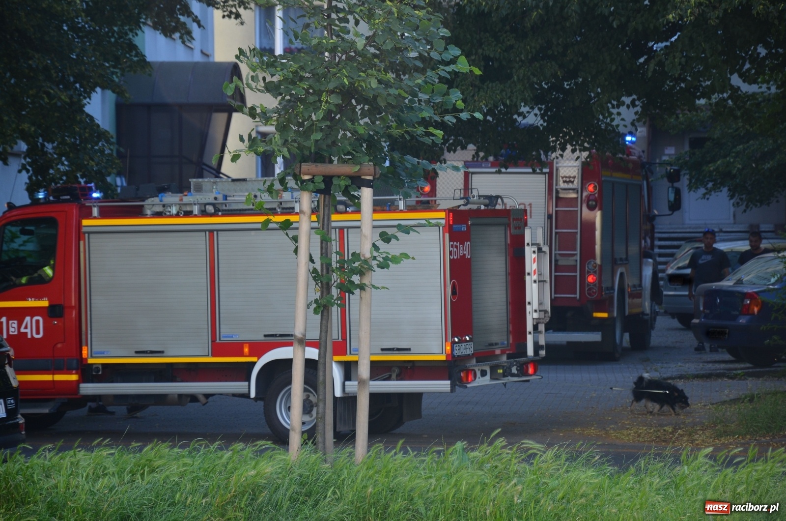 Zdjęcie w galerii na portalu naszraciborz.pl: Raport 998. Czujka czadu uratowała życie lokatorom bloku przy Katowickiej wiadomości z regionu