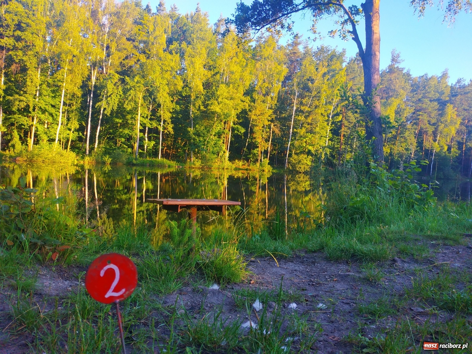 Zdjęcie w galerii na portalu naszraciborz.pl: Wędkarze walczyli o tytuł Mistrza Koła Obora [FOTO] wiadomości z regionu