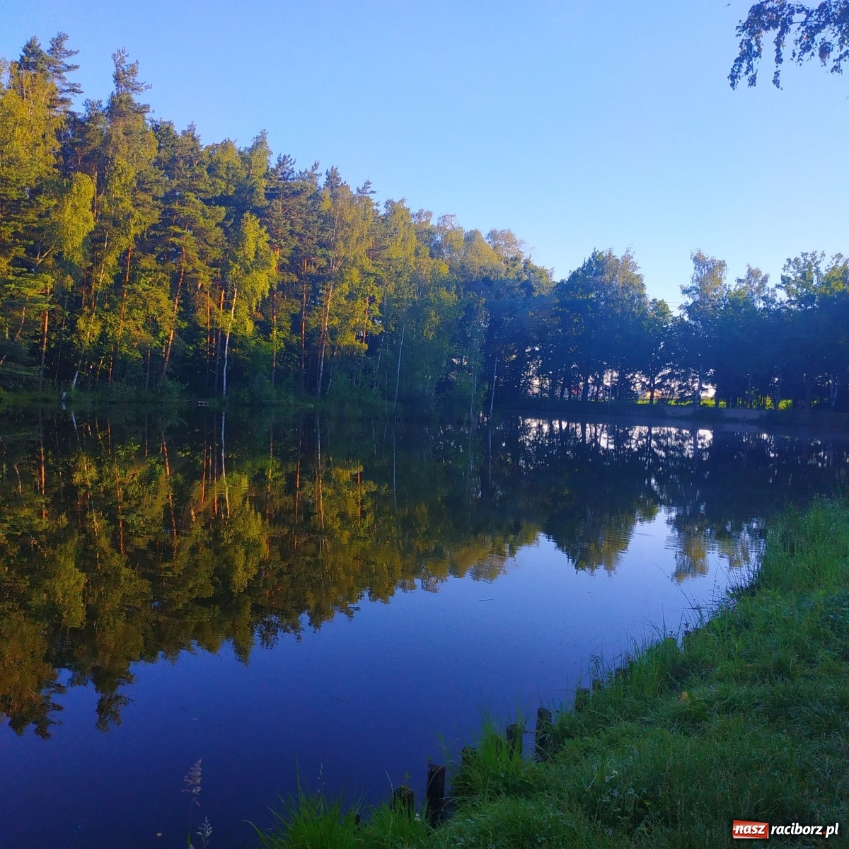Zdjęcie w galerii na portalu naszraciborz.pl: Wędkarze walczyli o tytuł Mistrza Koła Obora [FOTO] wiadomości z regionu