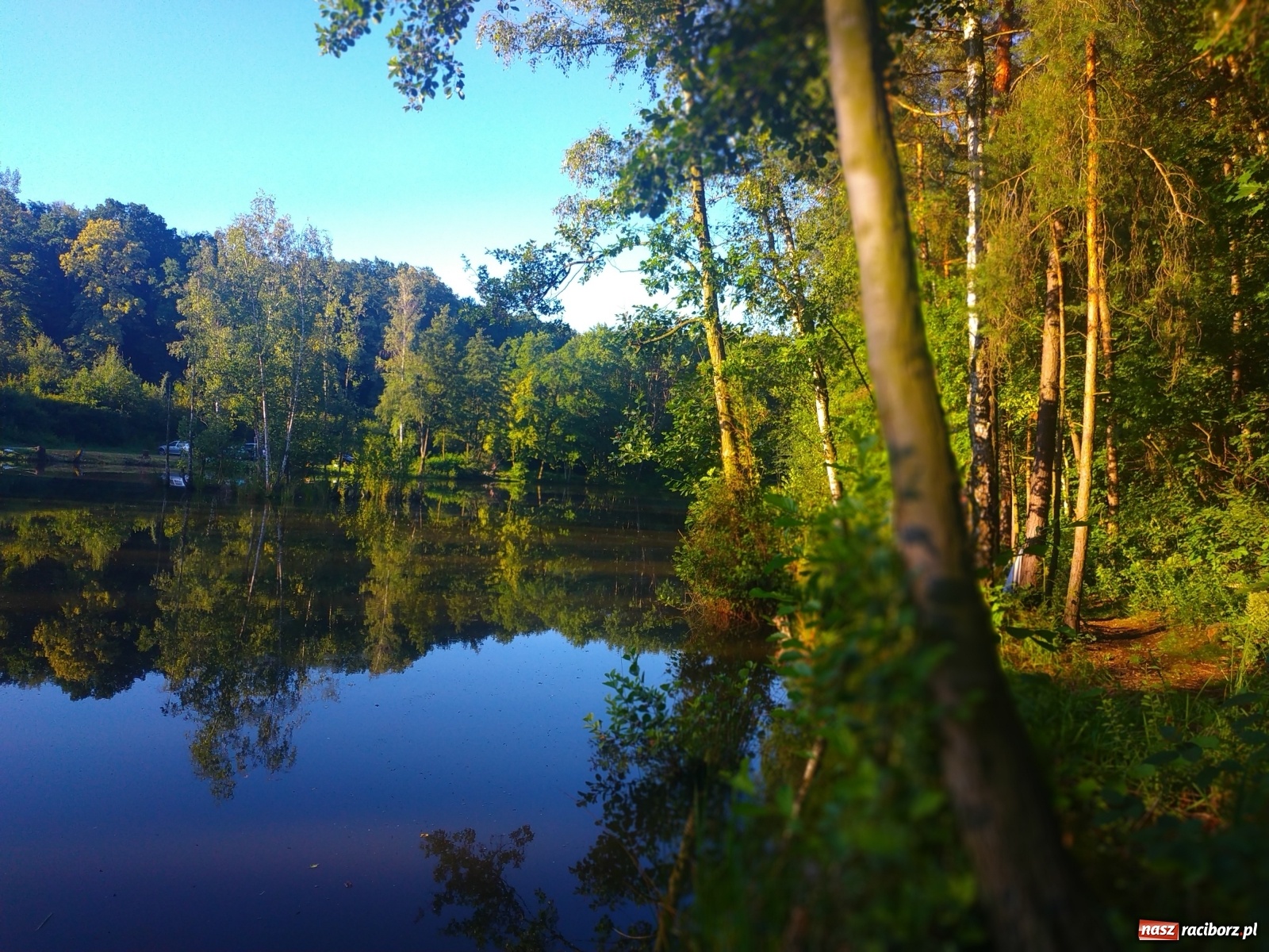 Zdjęcie w galerii na portalu naszraciborz.pl: Wędkarze walczyli o tytuł Mistrza Koła Obora [FOTO] wiadomości z regionu