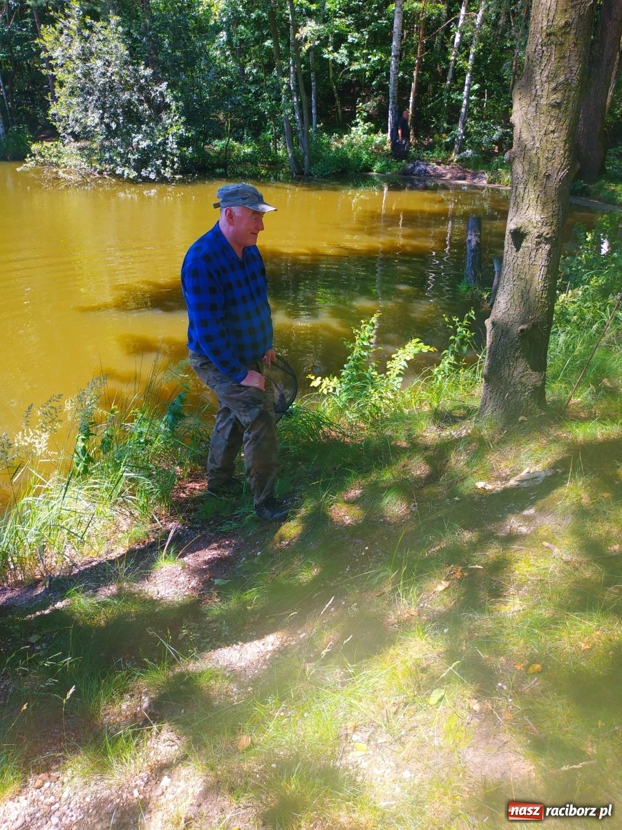 Zdjęcie w galerii na portalu naszraciborz.pl: Wędkarze walczyli o tytuł Mistrza Koła Obora [FOTO] wiadomości z regionu