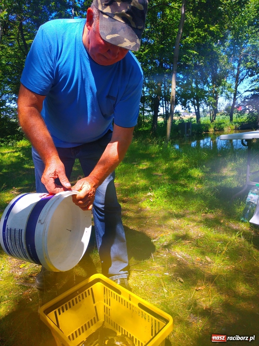 Zdjęcie w galerii na portalu naszraciborz.pl: Wędkarze walczyli o tytuł Mistrza Koła Obora [FOTO] wiadomości z regionu
