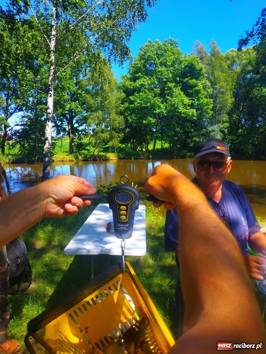 Zdjęcie w galerii na portalu naszraciborz.pl: Wędkarze walczyli o tytuł Mistrza Koła Obora [FOTO] wiadomości z regionu
