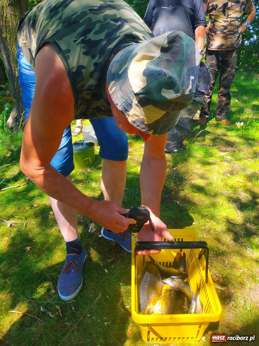Zdjęcie w galerii na portalu naszraciborz.pl: Wędkarze walczyli o tytuł Mistrza Koła Obora [FOTO] wiadomości z regionu