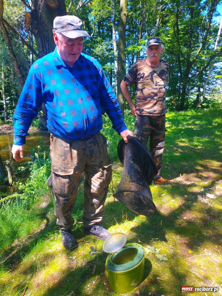 Zdjęcie w galerii na portalu naszraciborz.pl: Wędkarze walczyli o tytuł Mistrza Koła Obora [FOTO] wiadomości z regionu