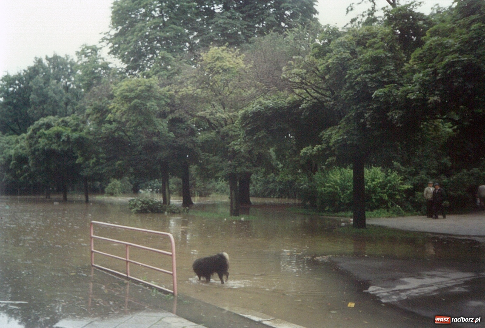 Zdjęcie w galerii na portalu naszraciborz.pl: Data zalania dworca w 1997 r. Kto ma rację - wiceminister czy prezydent? [FOTO Z 1997] wiadomości z regionu
