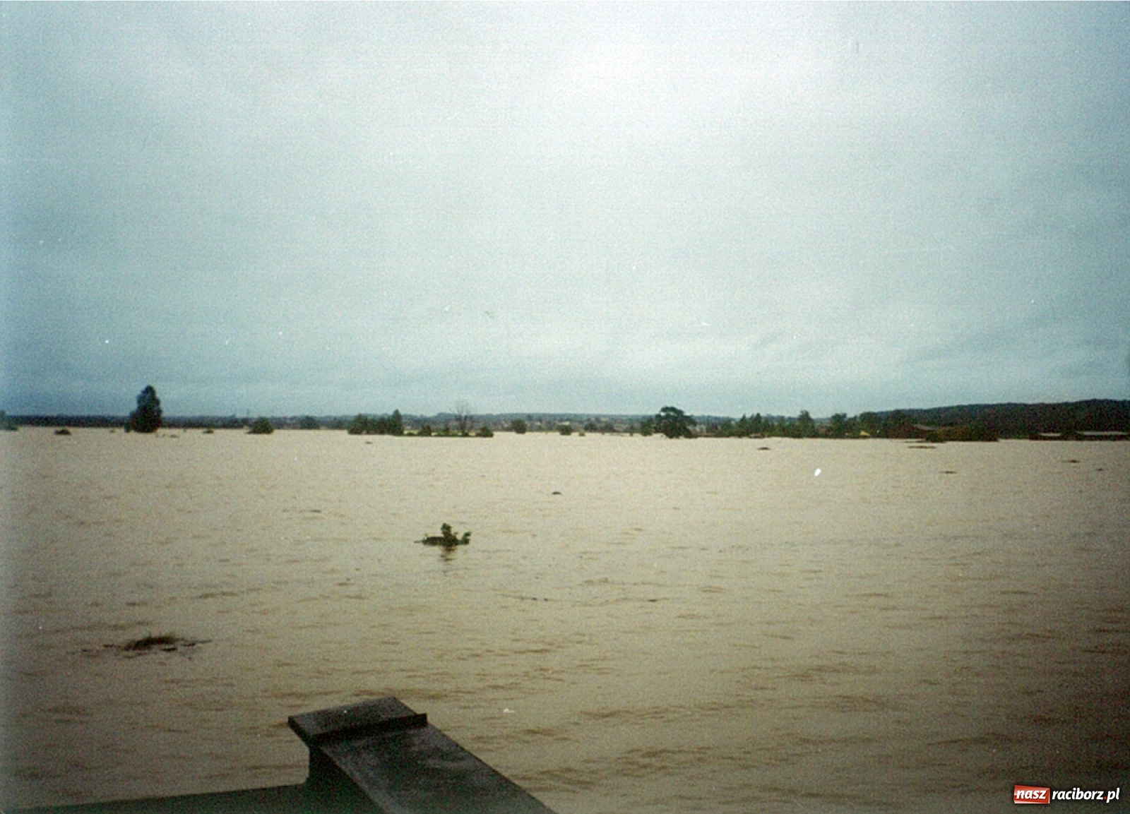 Zdjęcie w galerii na portalu naszraciborz.pl: Data zalania dworca w 1997 r. Kto ma rację - wiceminister czy prezydent? [FOTO Z 1997] wiadomości z regionu
