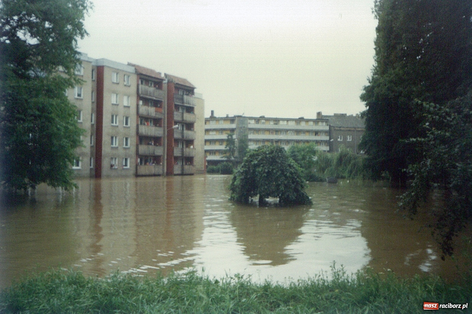 Zdjęcie w galerii na portalu naszraciborz.pl: Data zalania dworca w 1997 r. Kto ma rację - wiceminister czy prezydent? [FOTO Z 1997] wiadomości z regionu