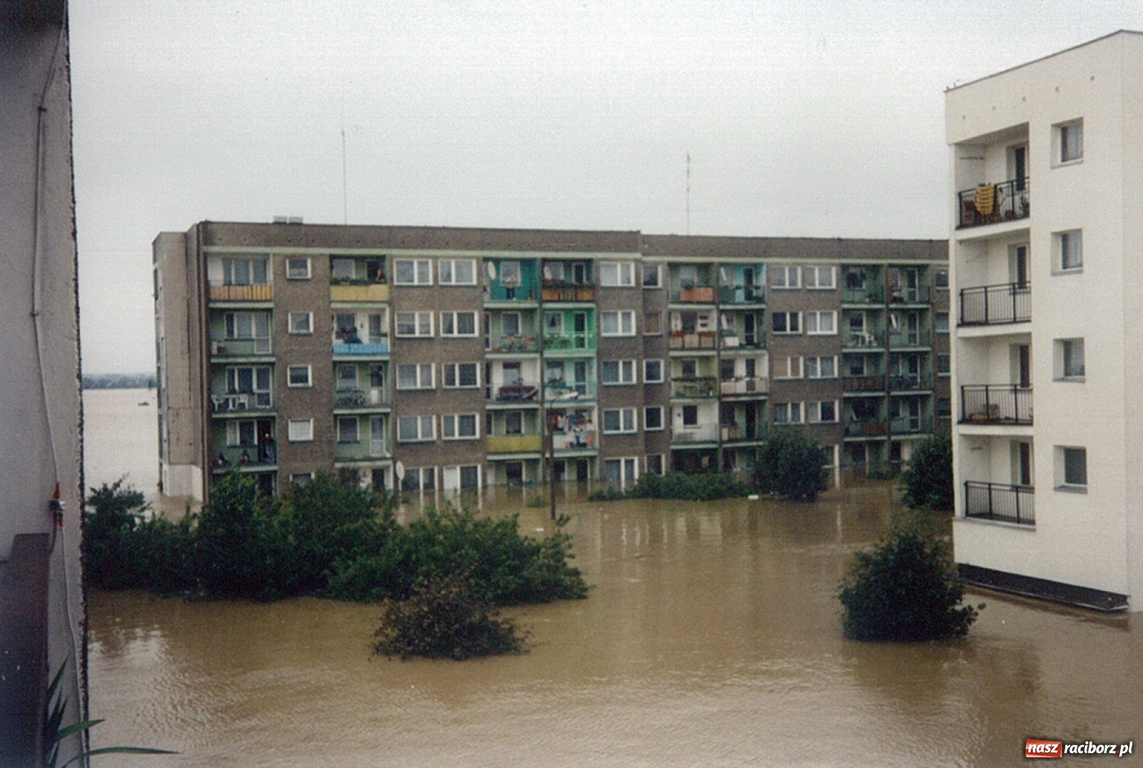 Zdjęcie w galerii na portalu naszraciborz.pl: Data zalania dworca w 1997 r. Kto ma rację - wiceminister czy prezydent? [FOTO Z 1997] wiadomości z regionu