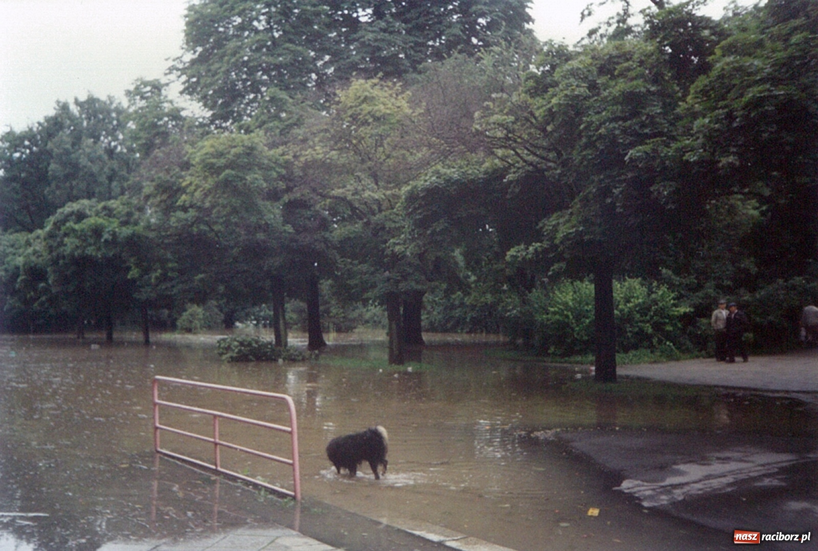 Zdjęcie w galerii na portalu naszraciborz.pl: Data zalania dworca w 1997 r. Kto ma rację - wiceminister czy prezydent? [FOTO Z 1997] wiadomości z regionu