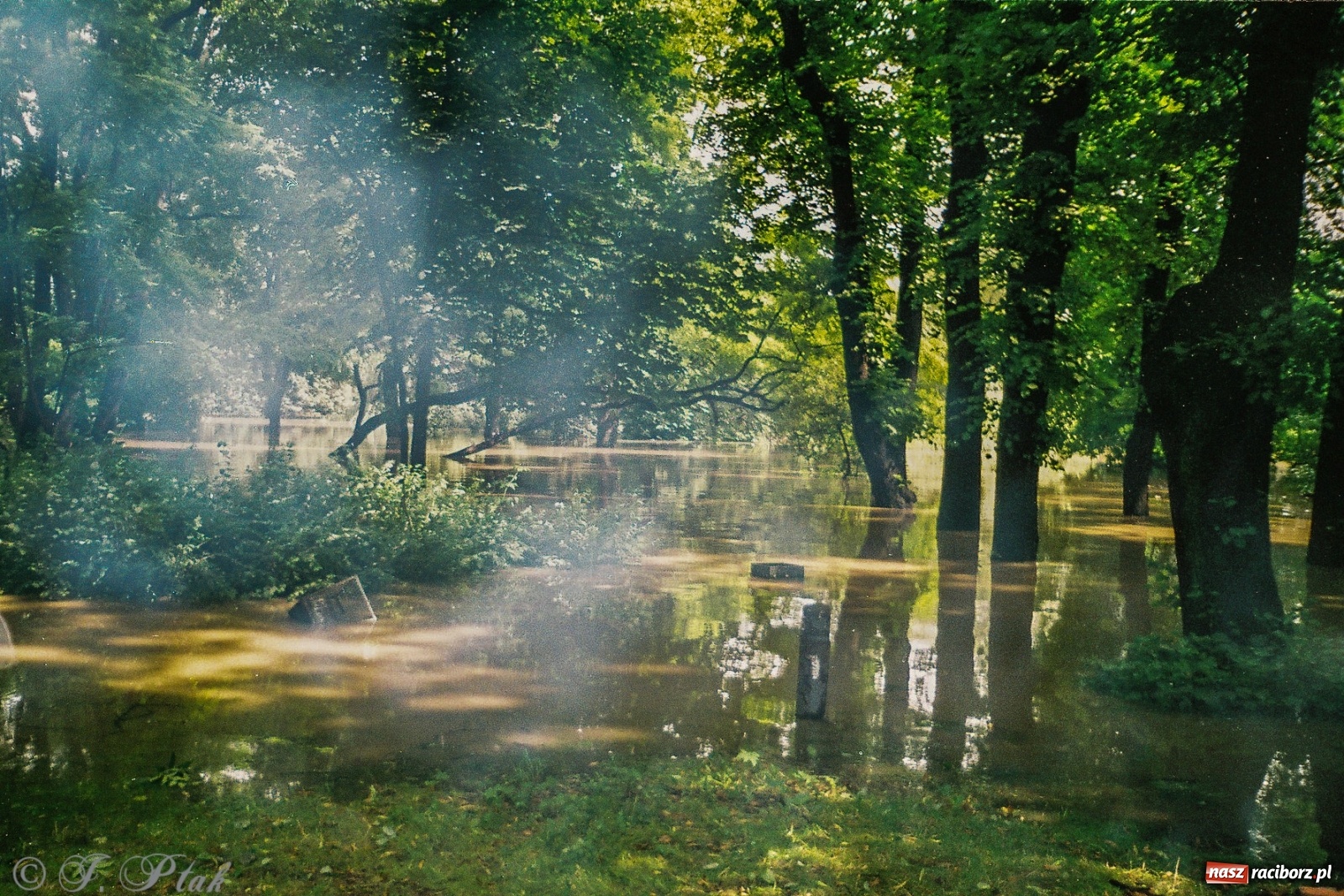 Zdjęcie w galerii na portalu naszraciborz.pl: Data zalania dworca w 1997 r. Kto ma rację - wiceminister czy prezydent? [FOTO Z 1997] wiadomości z regionu