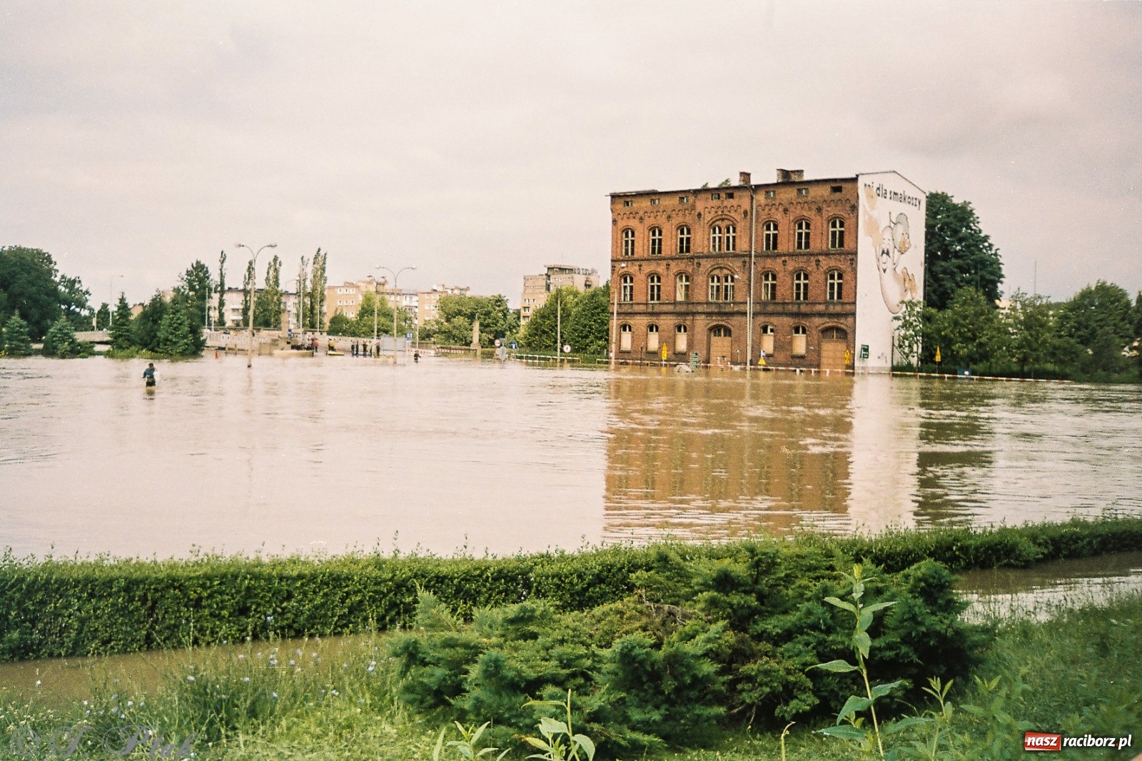 Zdjęcie w galerii na portalu naszraciborz.pl: Data zalania dworca w 1997 r. Kto ma rację - wiceminister czy prezydent? [FOTO Z 1997] wiadomości z regionu