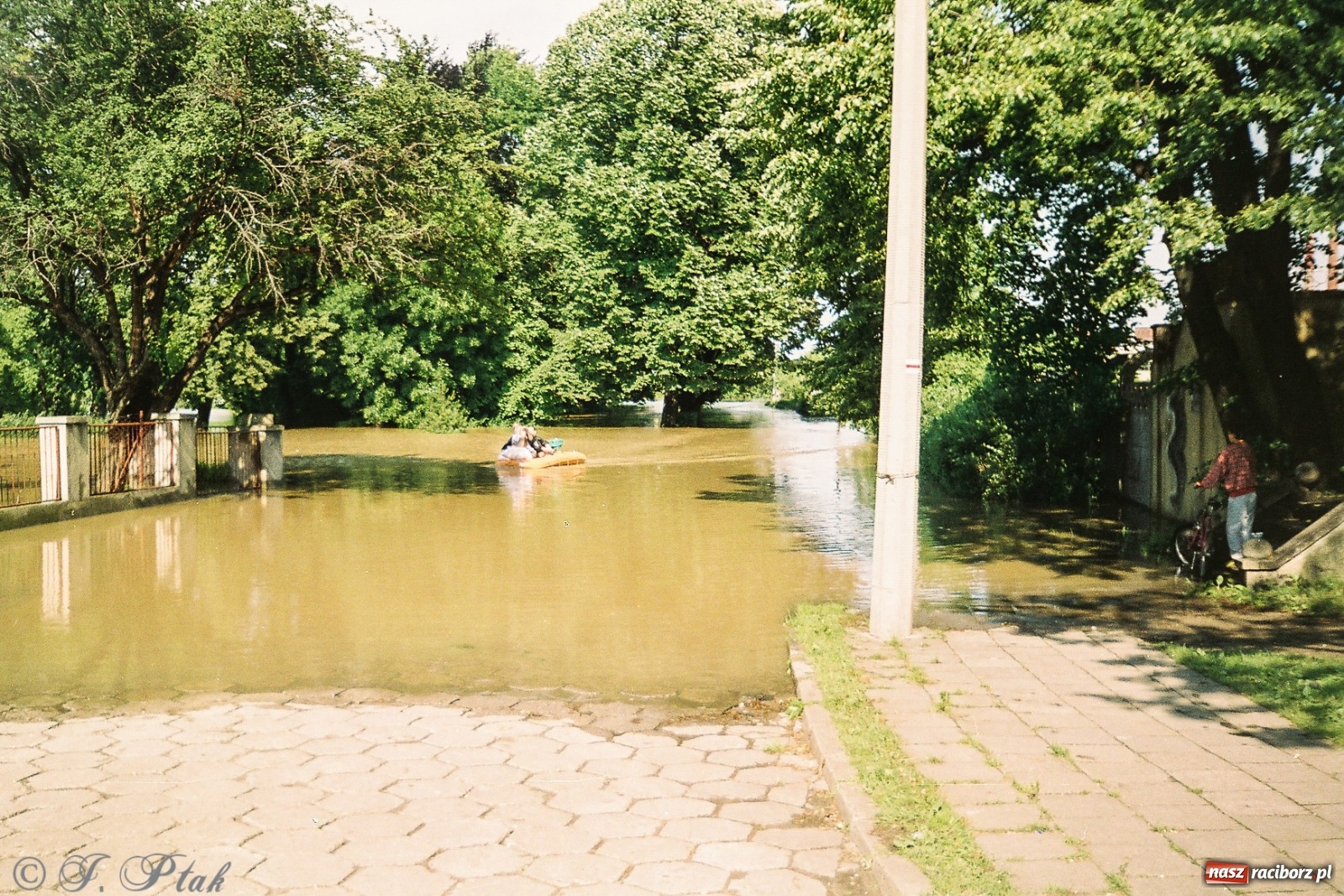 Zdjęcie w galerii na portalu naszraciborz.pl: Data zalania dworca w 1997 r. Kto ma rację - wiceminister czy prezydent? [FOTO Z 1997] wiadomości z regionu